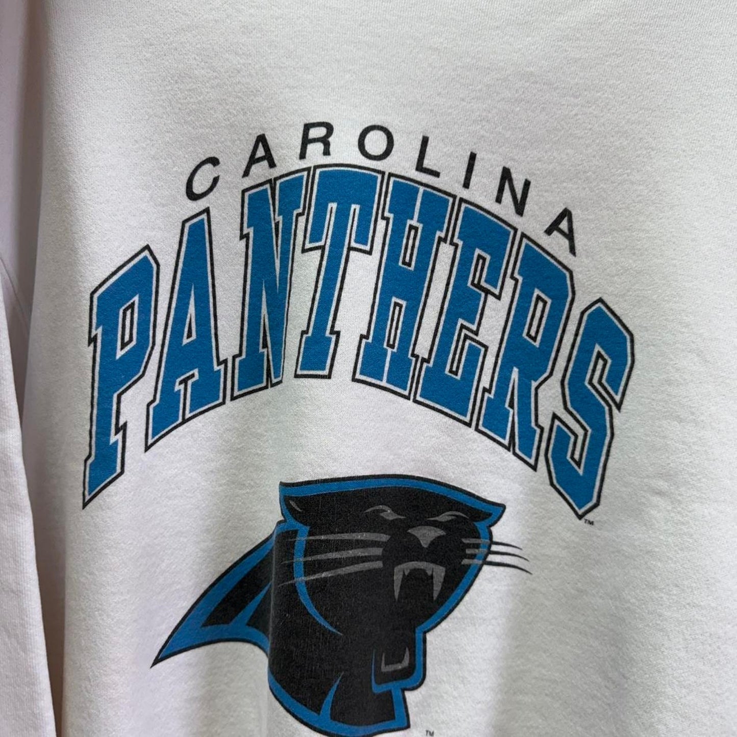 Vintage 90s Carolina Panthers NFL Crewneck