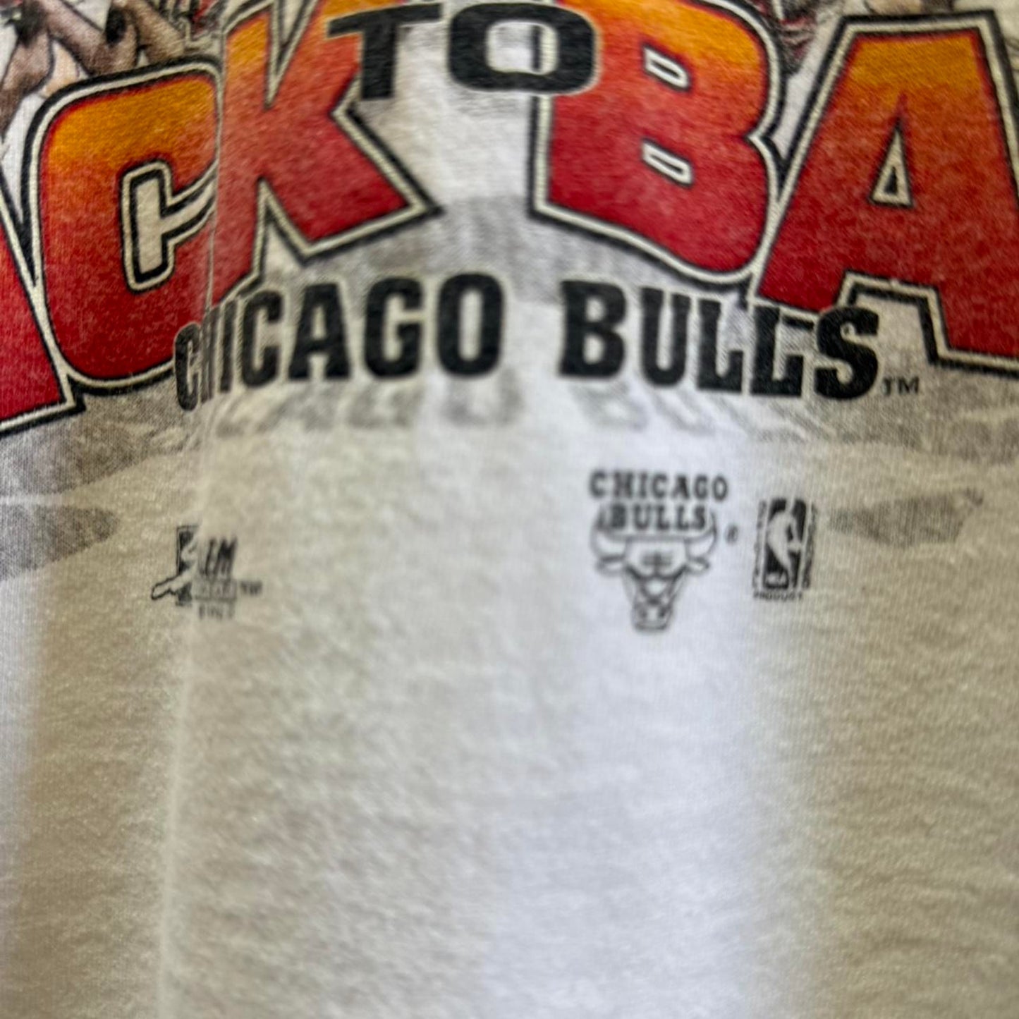 Vintage 90s Chicago Bulls Back 2 Back Champs NBA T-Shirt