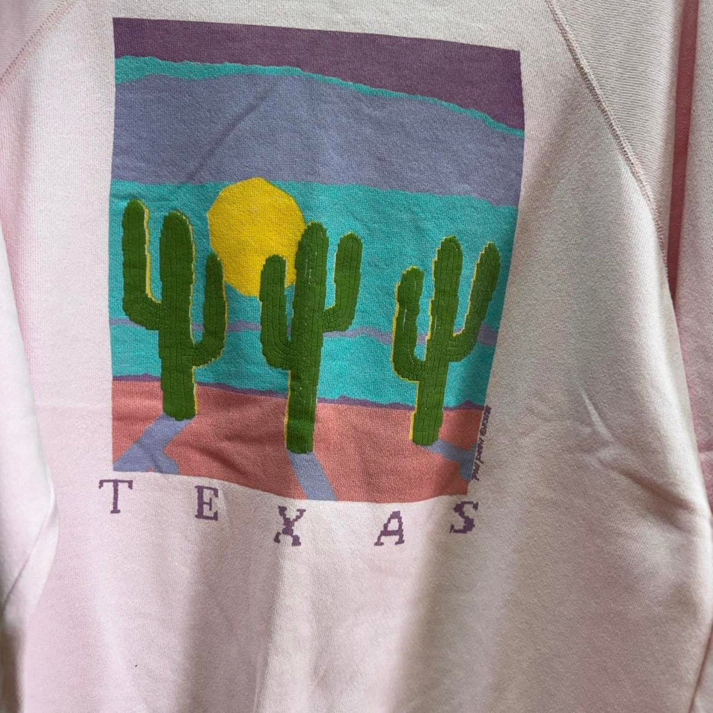 Vintage 90s Texas Cactus Desert Art Crewneck