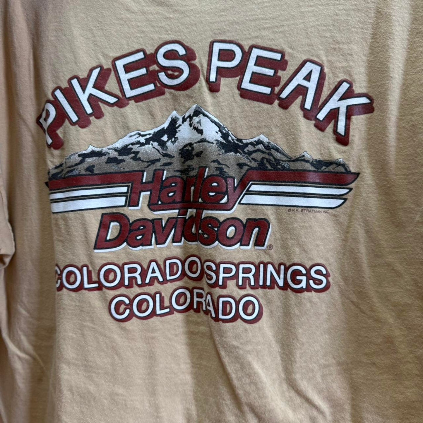 Vintage 90s Harley Davidson Motorcycles Biker Eagle Wings T-Shirt