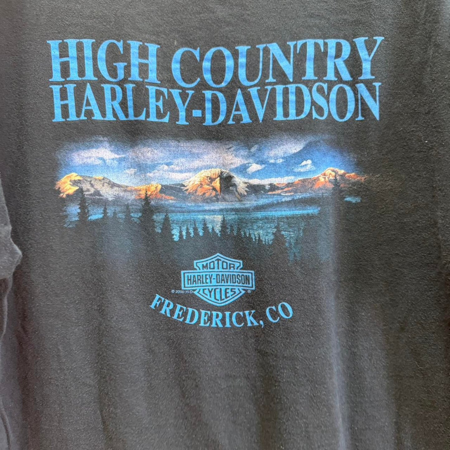 Vintage 90s Harley Davidson Motorcycles Faded T-Shirt