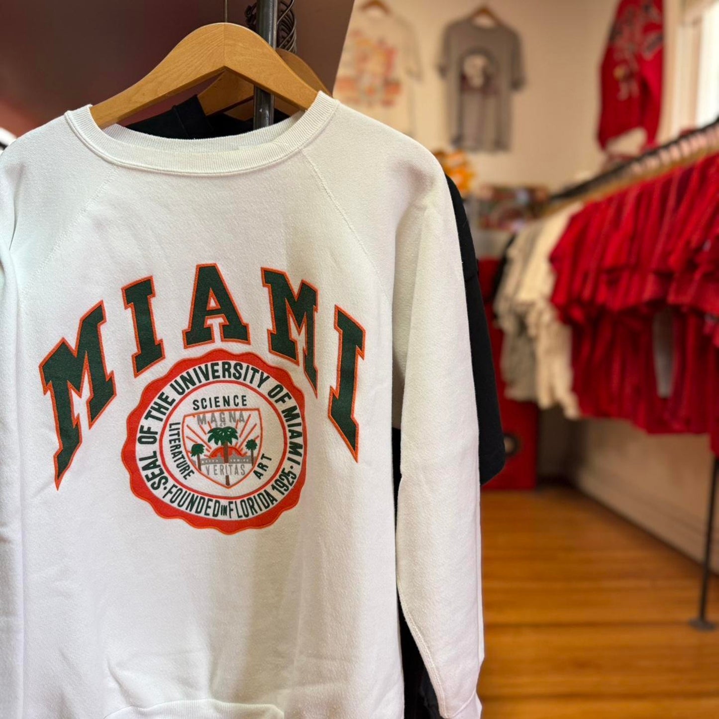 Vintage 90s University of Miami Crest Crewneck