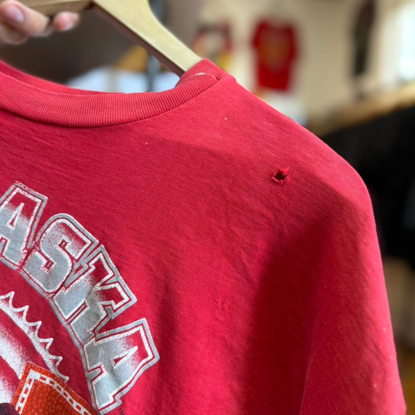 Vintage 90s Nebraska Huskers Taz Looney Tunes T-Shirt