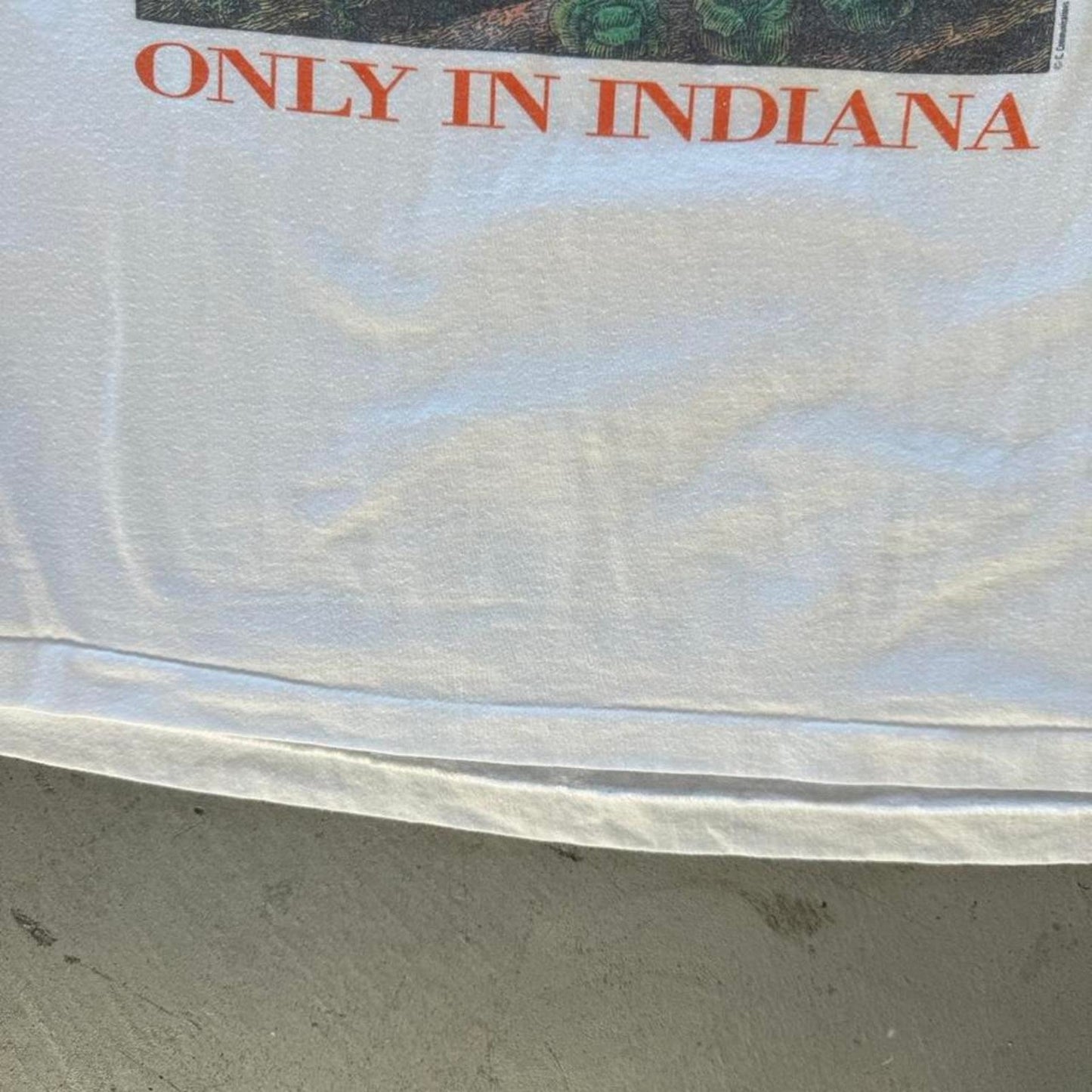 Vintage 90s Only in Indiana Basketball Pumpkin T-Shirt - Large