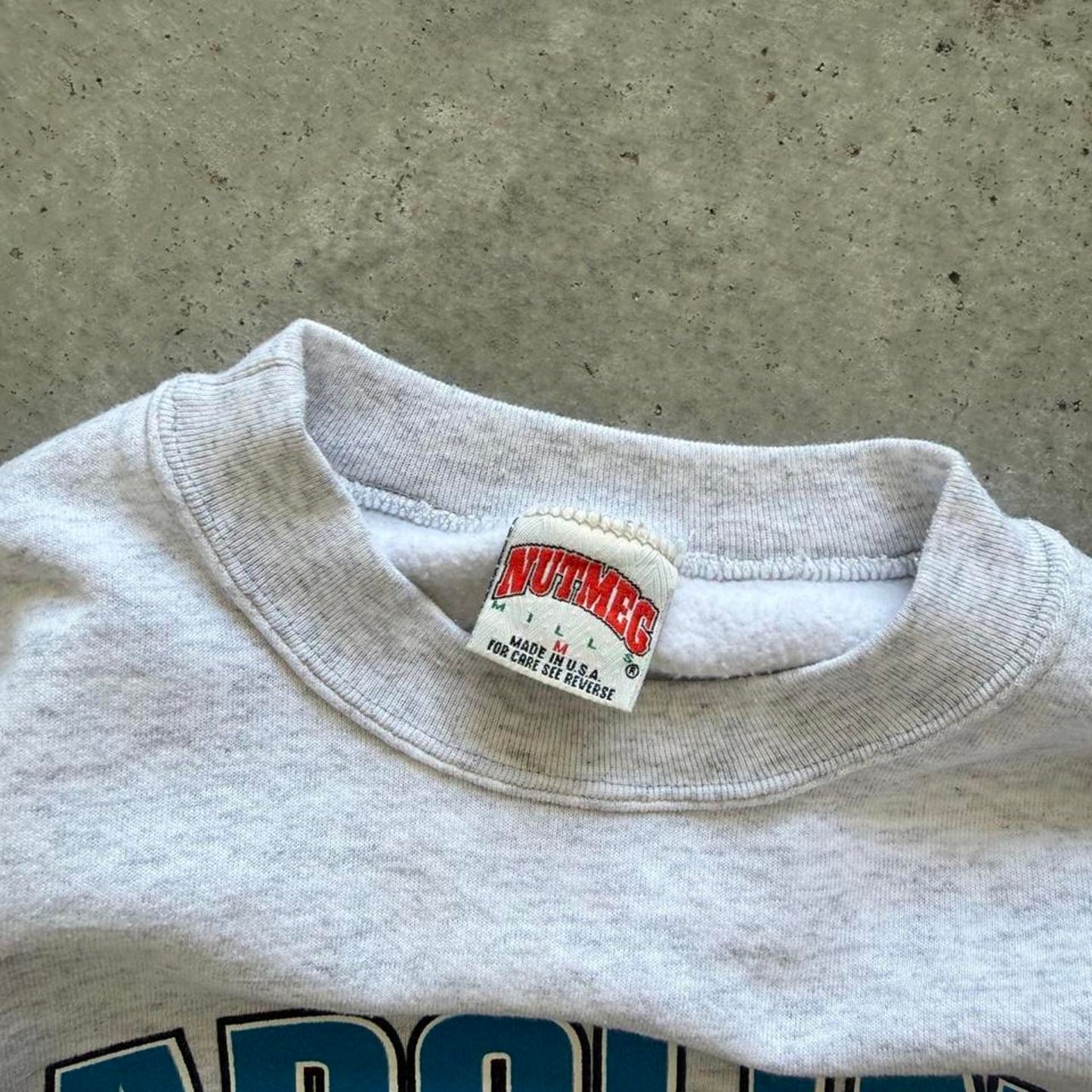 Vintage 90s Carolina Panthers NFL Burst Through Crewneck - Medium