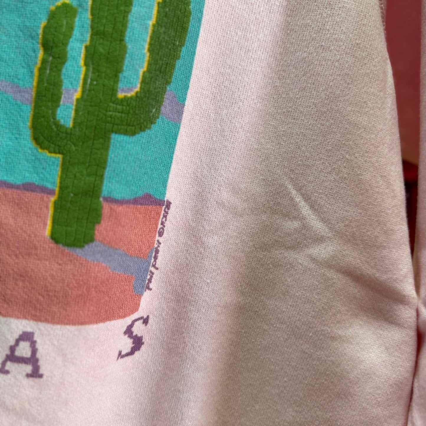 Vintage 90s Texas Cactus Desert Art Crewneck