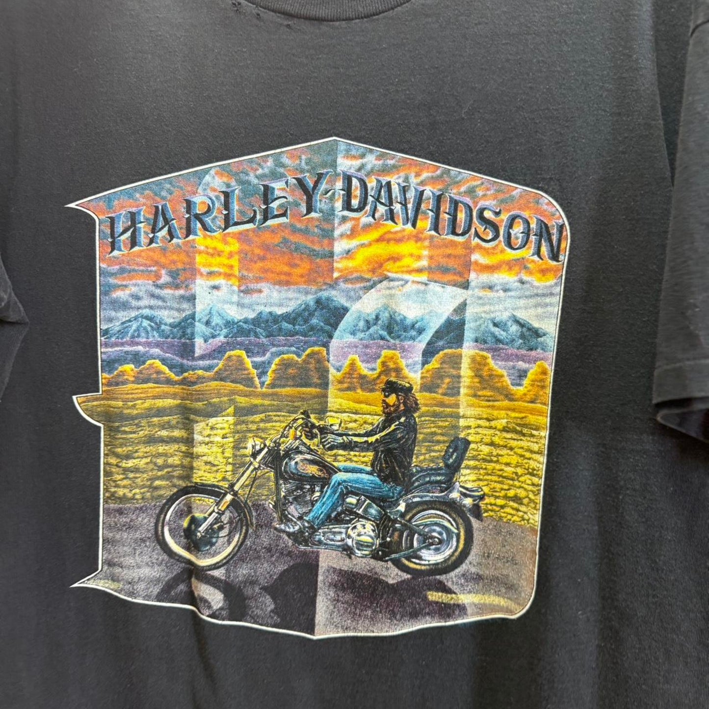 Vintage 90s Harley Davidson Sunset Biker T-Shirt