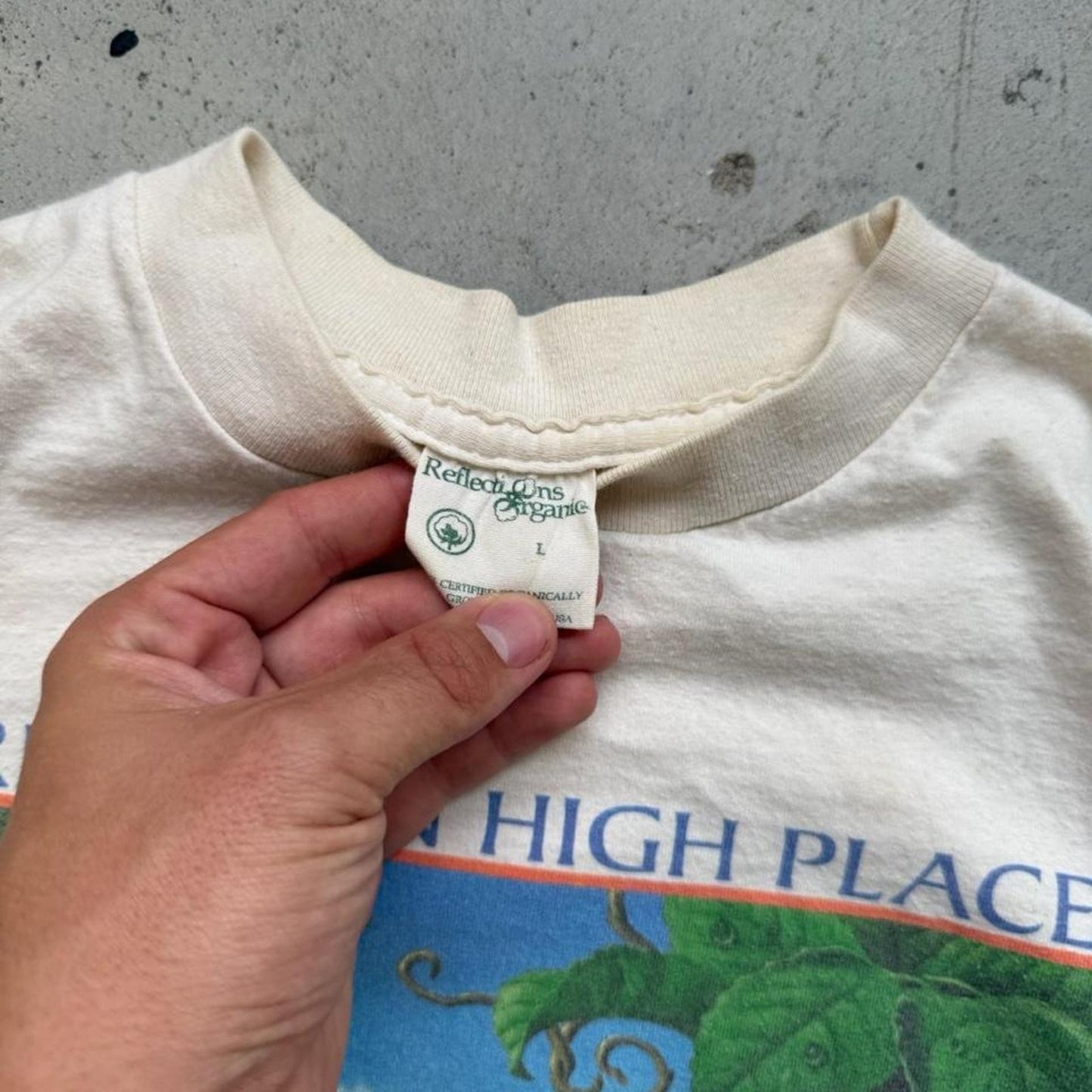 Vintage 90s Friends in High Places Rainforest Frog Animal T-Shirt - Large