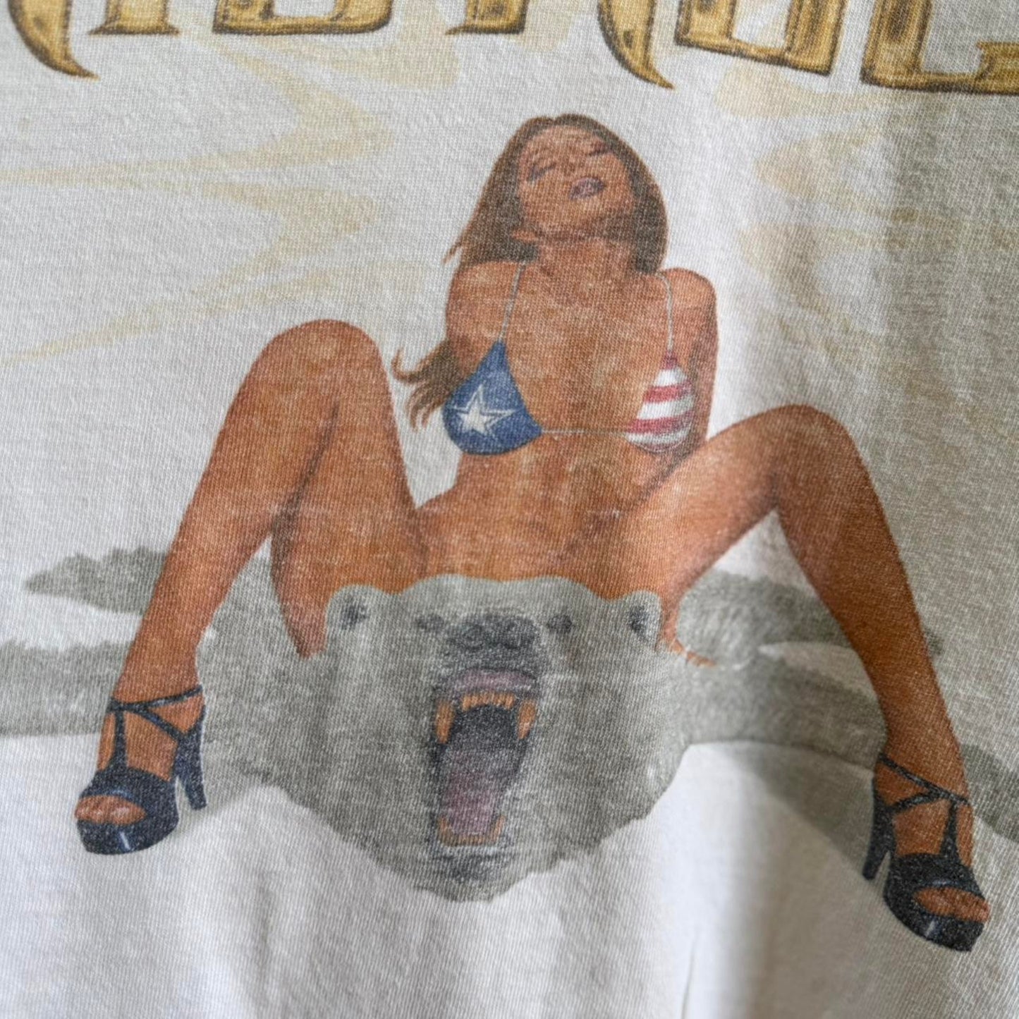 Vintage 90s Kid Rock Polar Bear Bikini Band T-Shirt