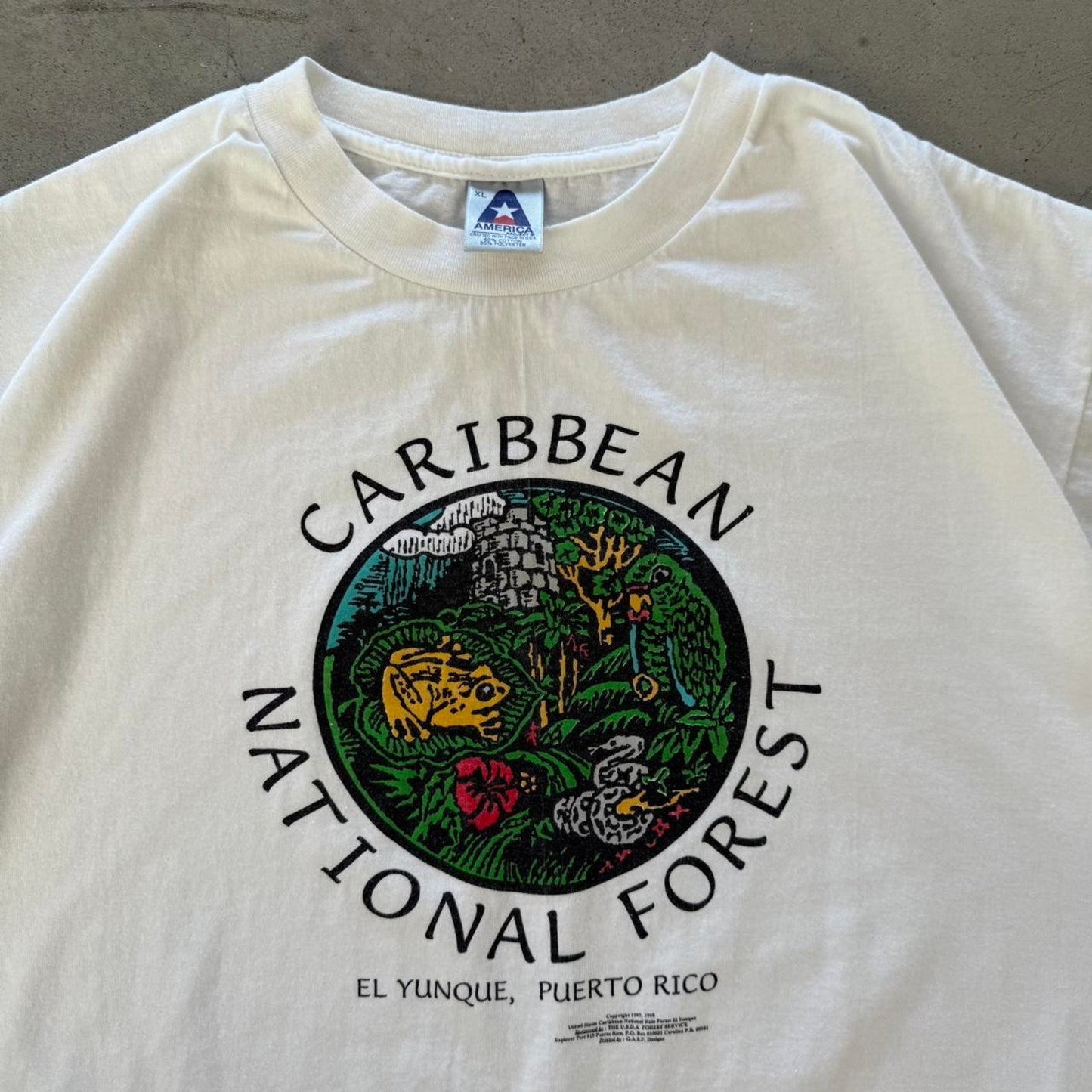 Vintage 90s Caribbean National Forest Frog Nature Animal T-Shirt - X-Large