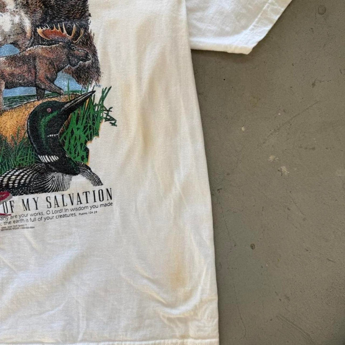 Vintage 90s Author of All Creation Jesus Bible T-Shirt - Large