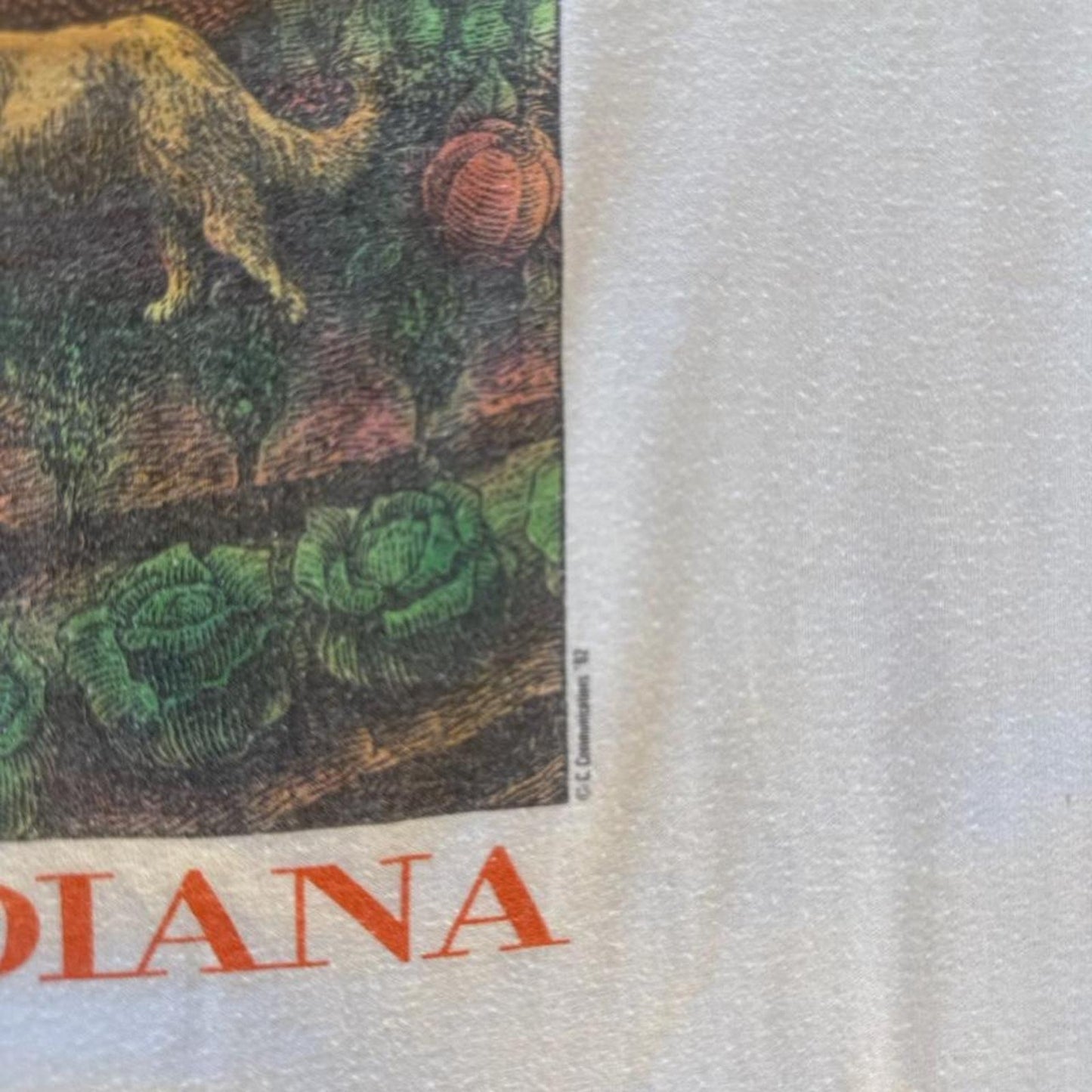 Vintage 90s Only in Indiana Basketball Pumpkin T-Shirt - Large