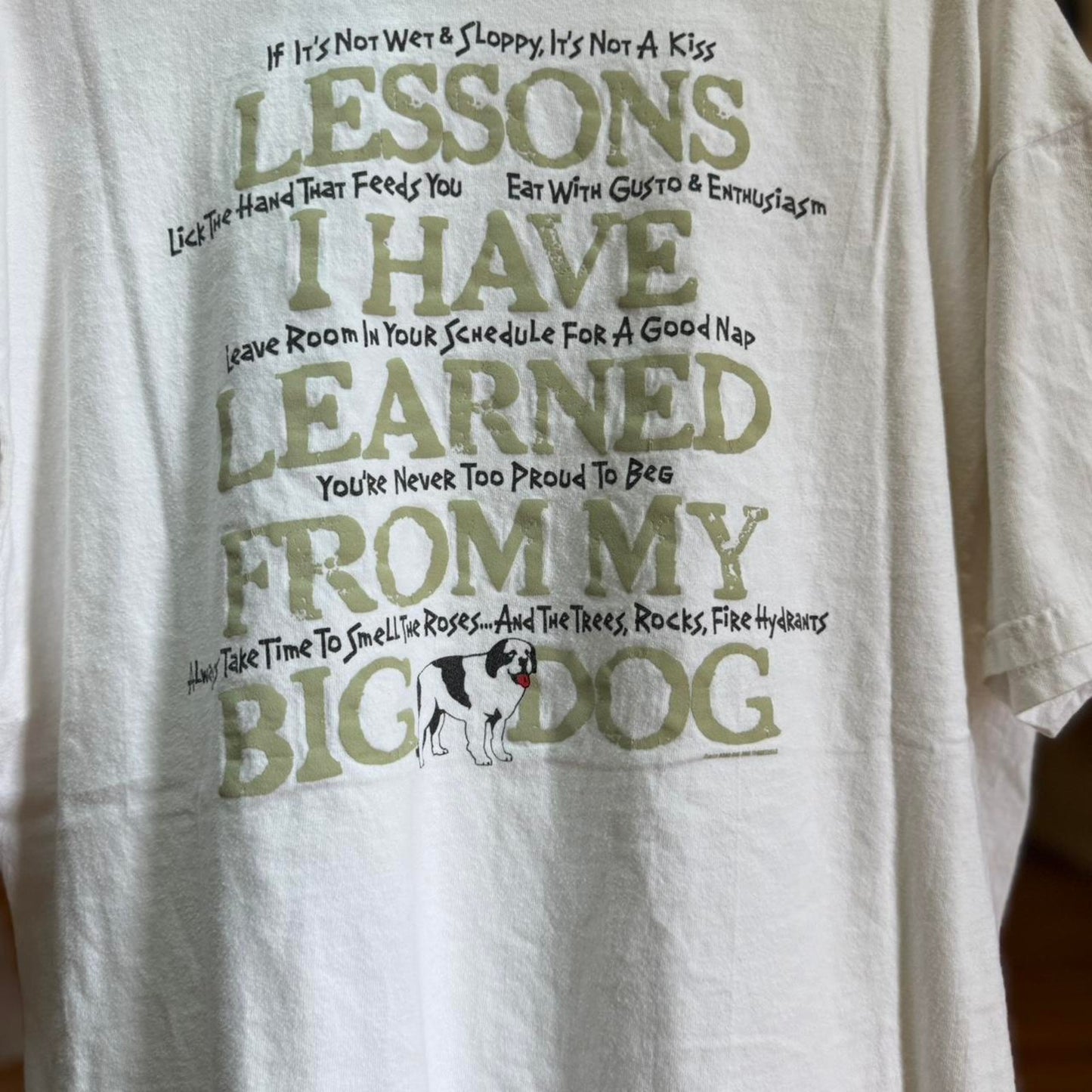 Vintage 90s Big Dogs Lessons I Learned Animal T-Shirt