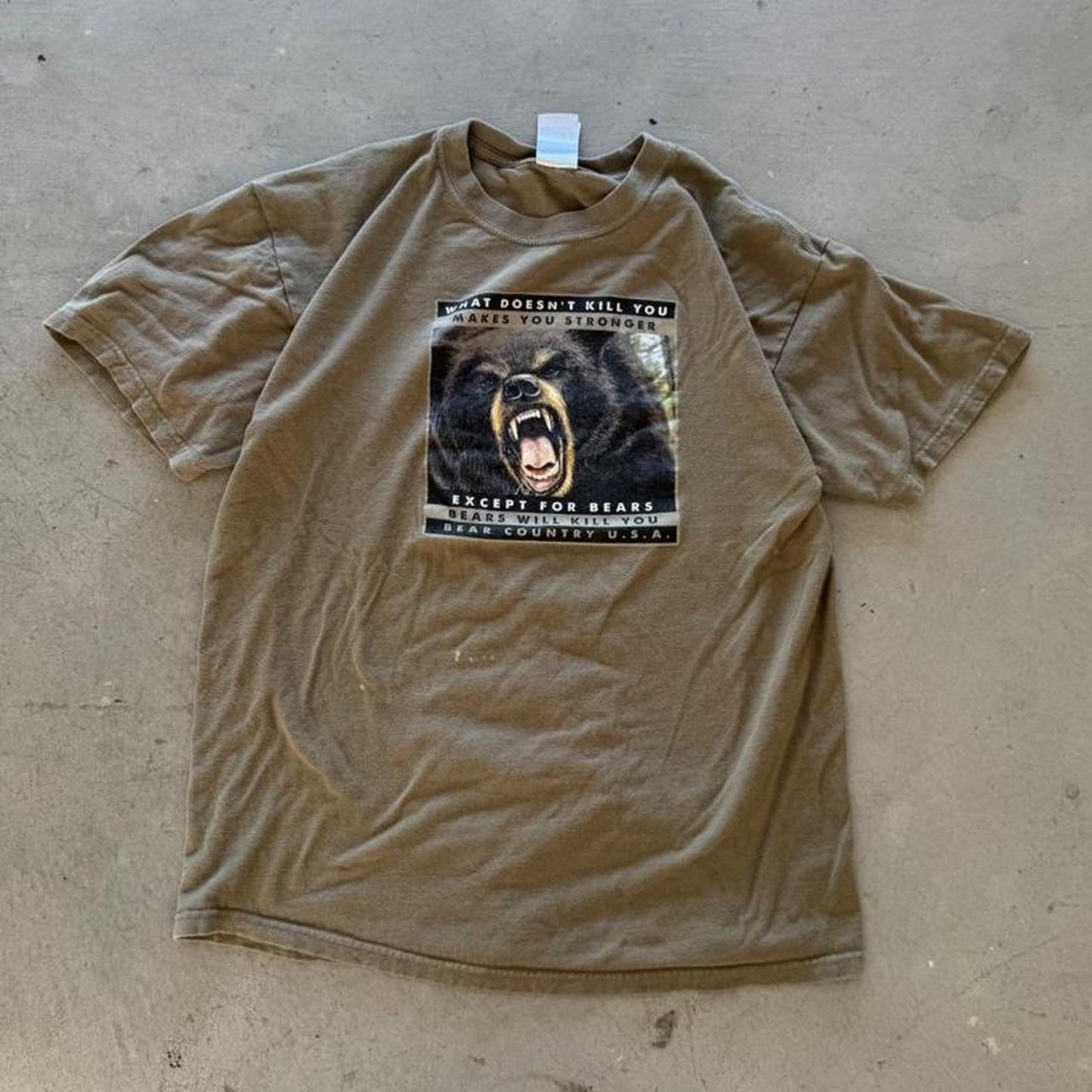Vintage 90s Bear What Doesn’t Kill You T-Shirt - Large (W)