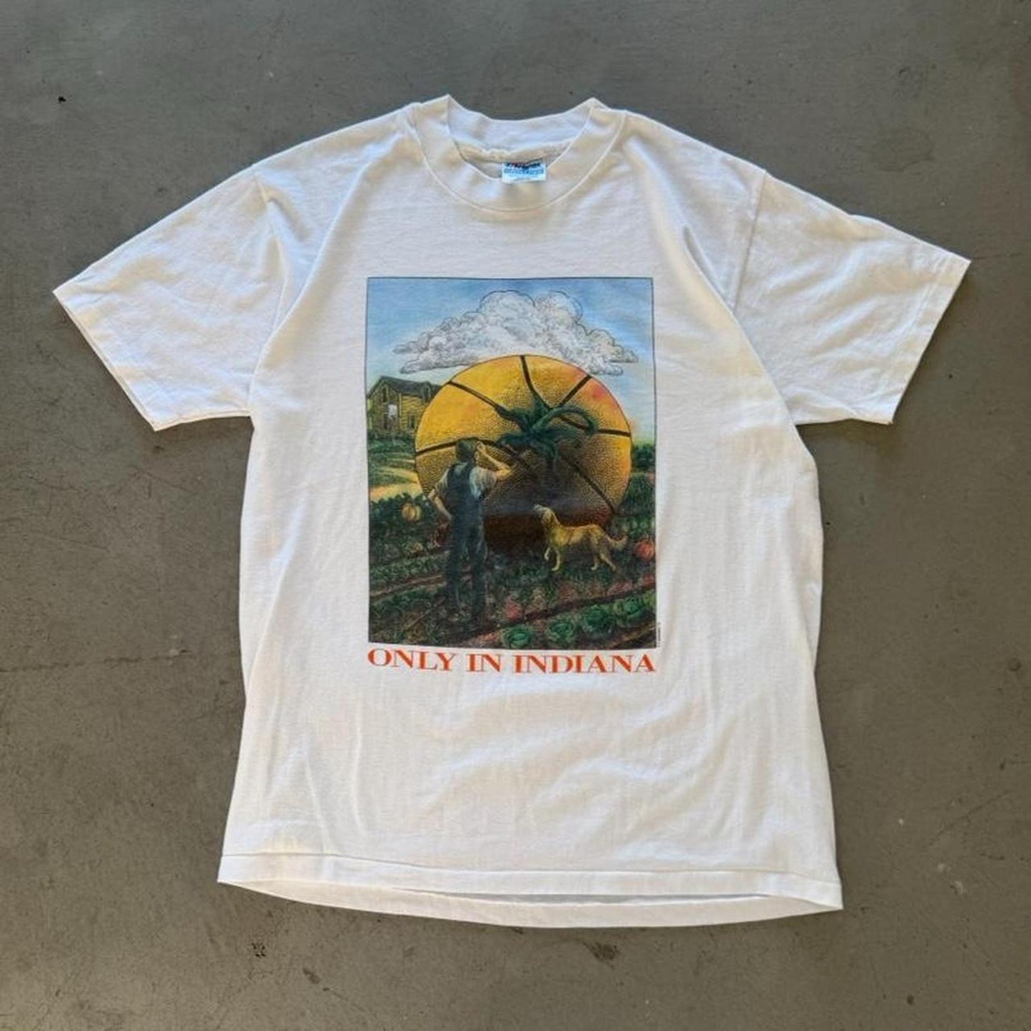 Vintage 90s Only in Indiana Basketball Pumpkin T-Shirt - Large