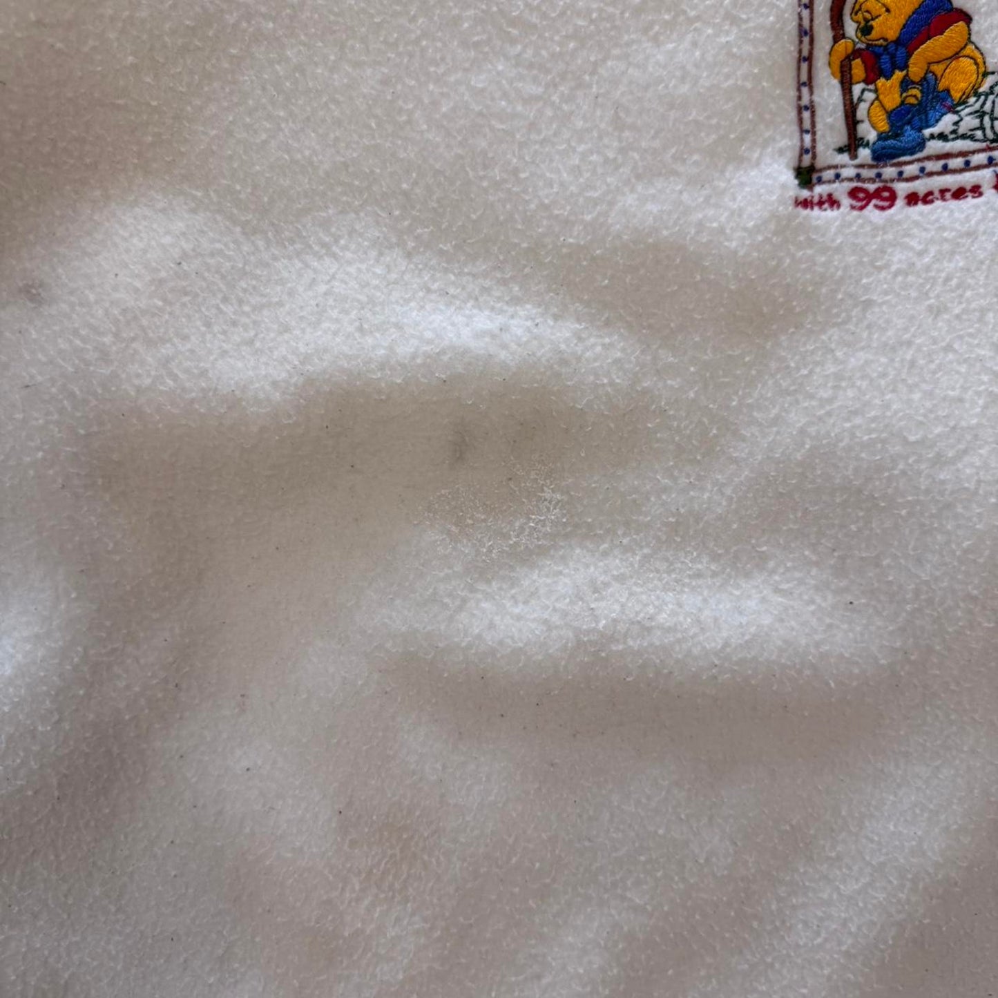 Vintage 90s Winnie the Pooh Hiking Crewneck - Large