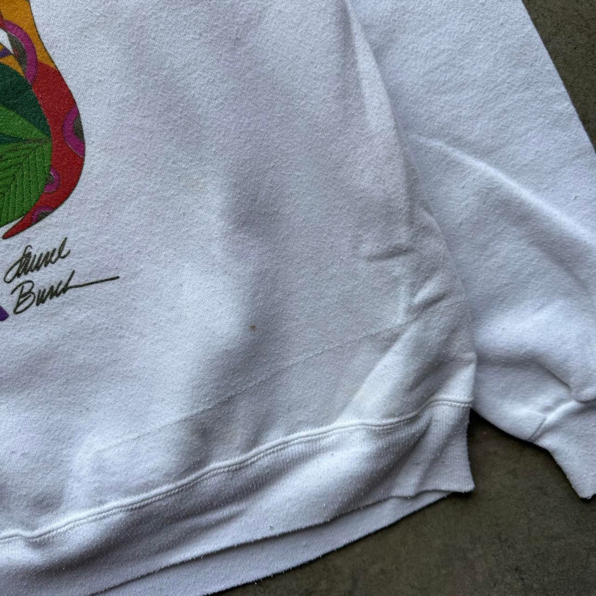 Vintage 90s Animals Nature Art Crewneck - X-Large