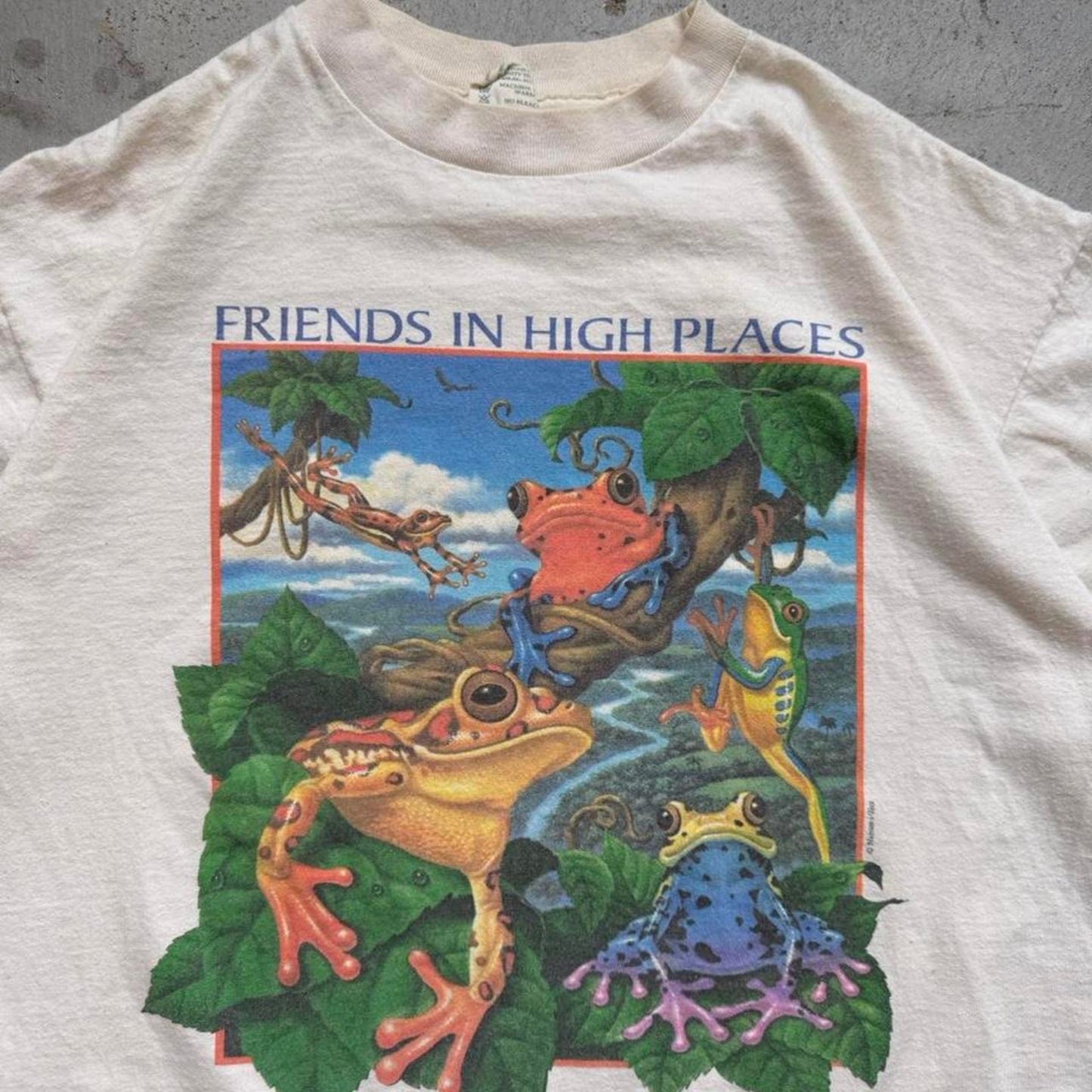 Vintage 90s Friends in High Places Rainforest Frog Animal T-Shirt - Large