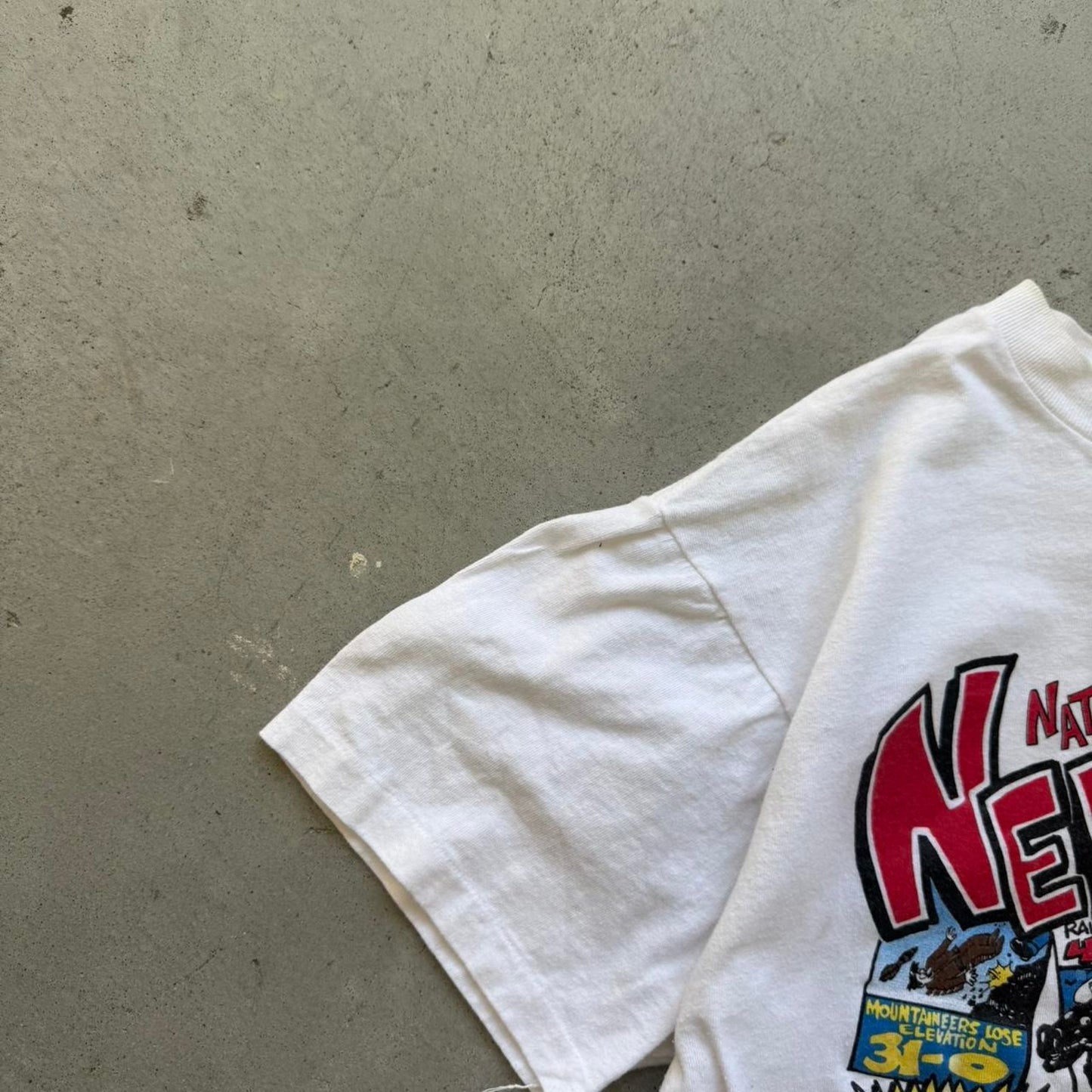 Vintage 90s Nebraska Huskers Reign Supreme Comic Strip T-Shirt - Medium