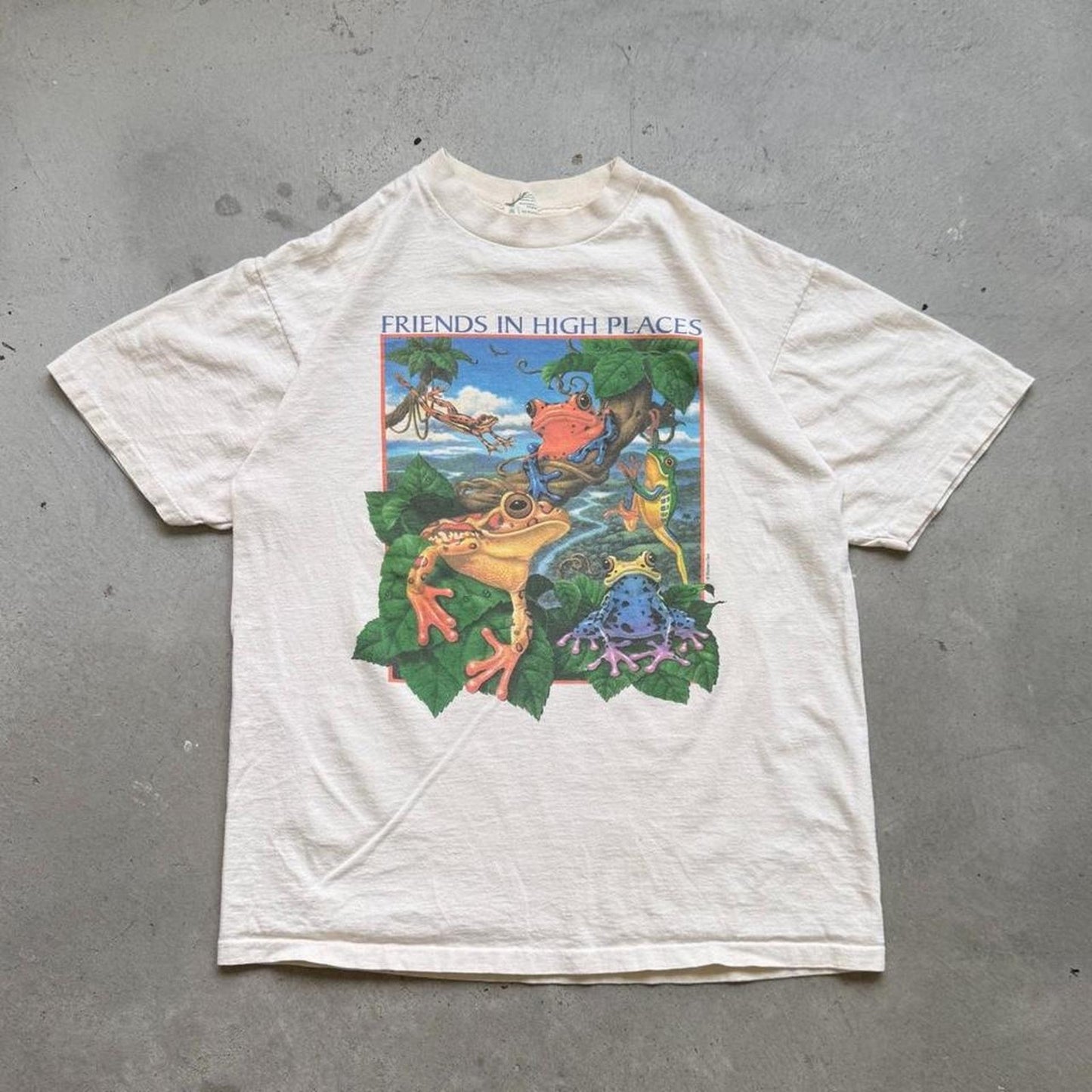 Vintage 90s Friends in High Places Rainforest Frog Animal T-Shirt - Large