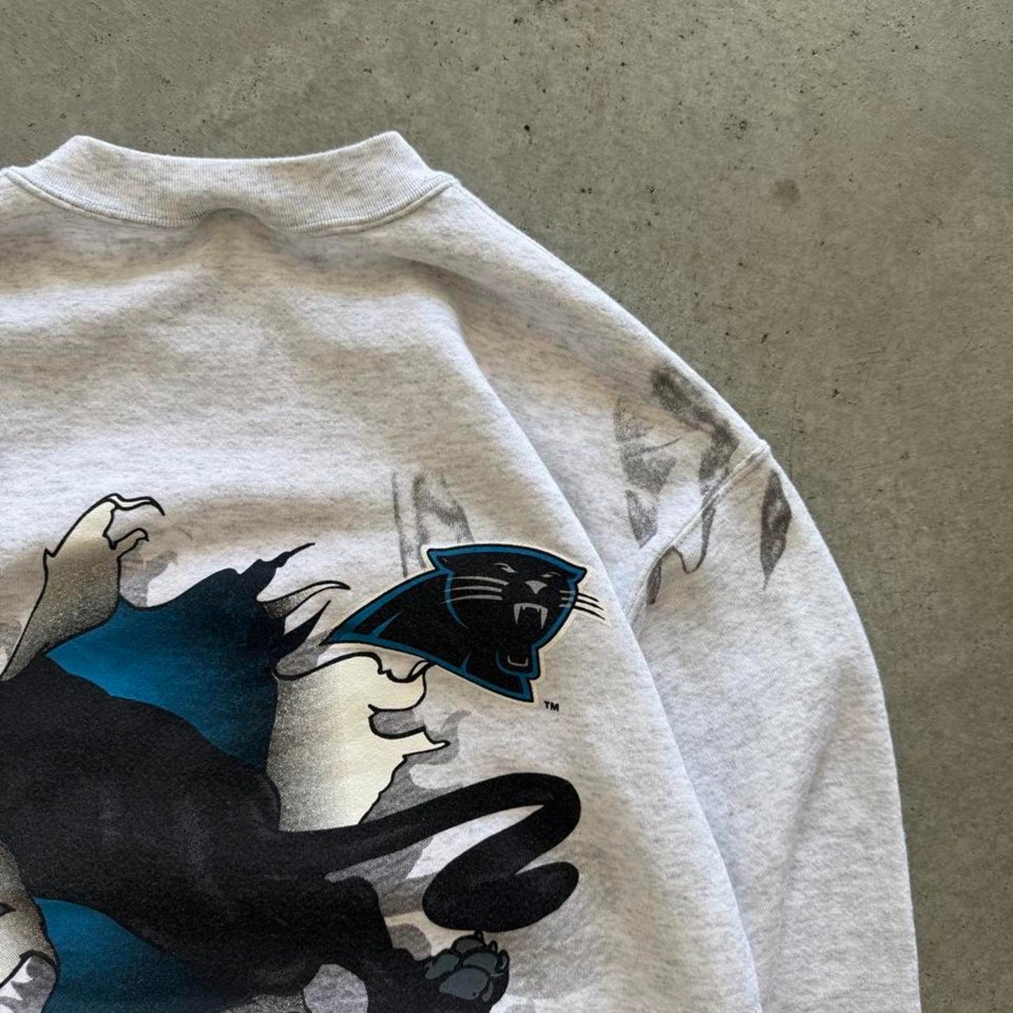 Vintage 90s Carolina Panthers NFL Burst Through Crewneck - Medium