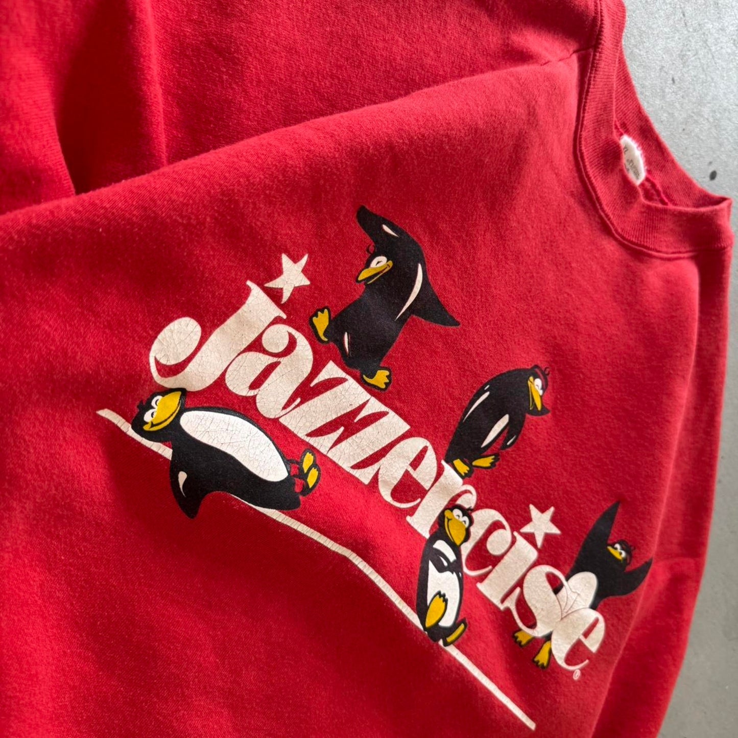 Vintage 90s Jazzercise Penguin Animal Crewneck - X-Large
