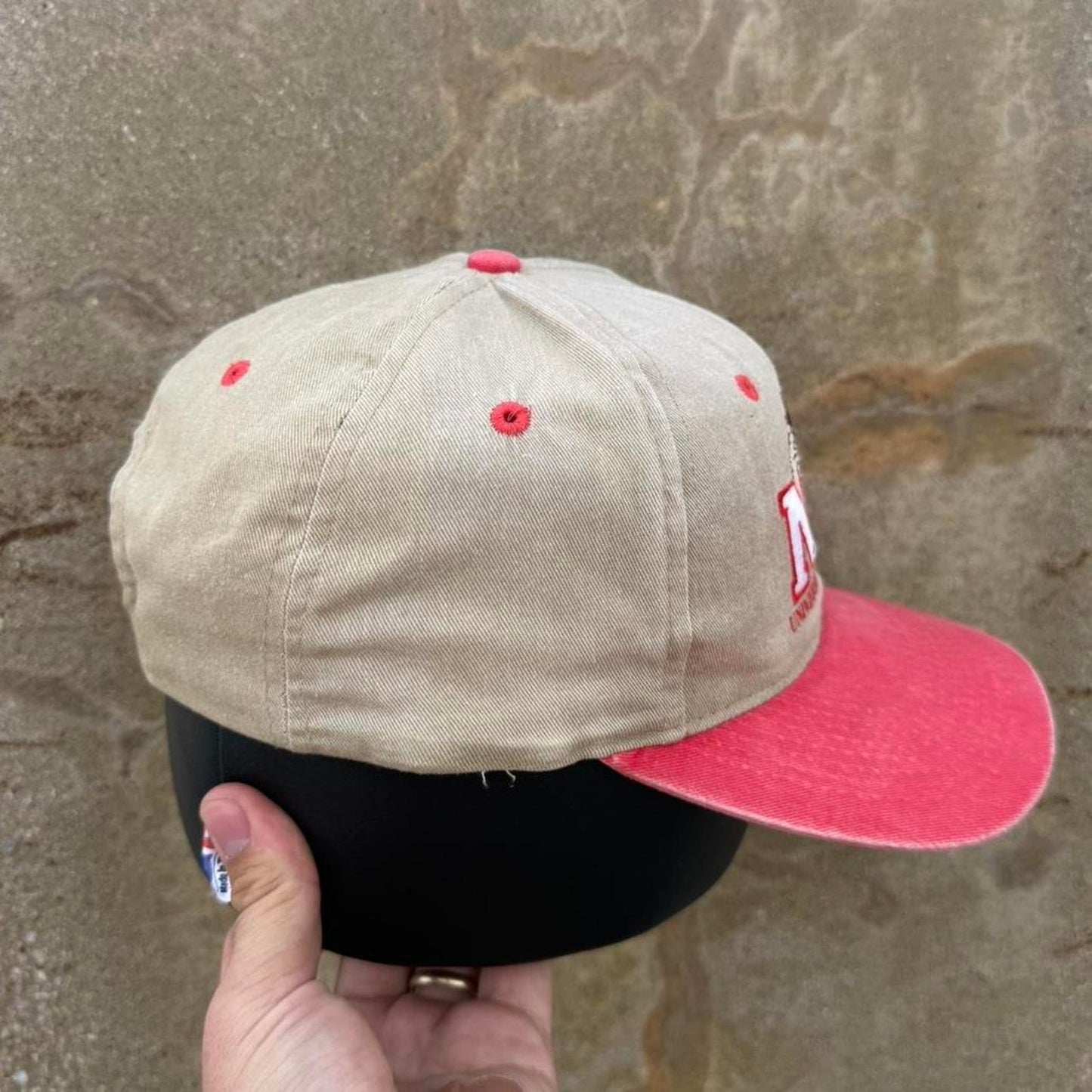 Vintage 90s University of Nebraska Huskers Taz Looney Tunes Snapback