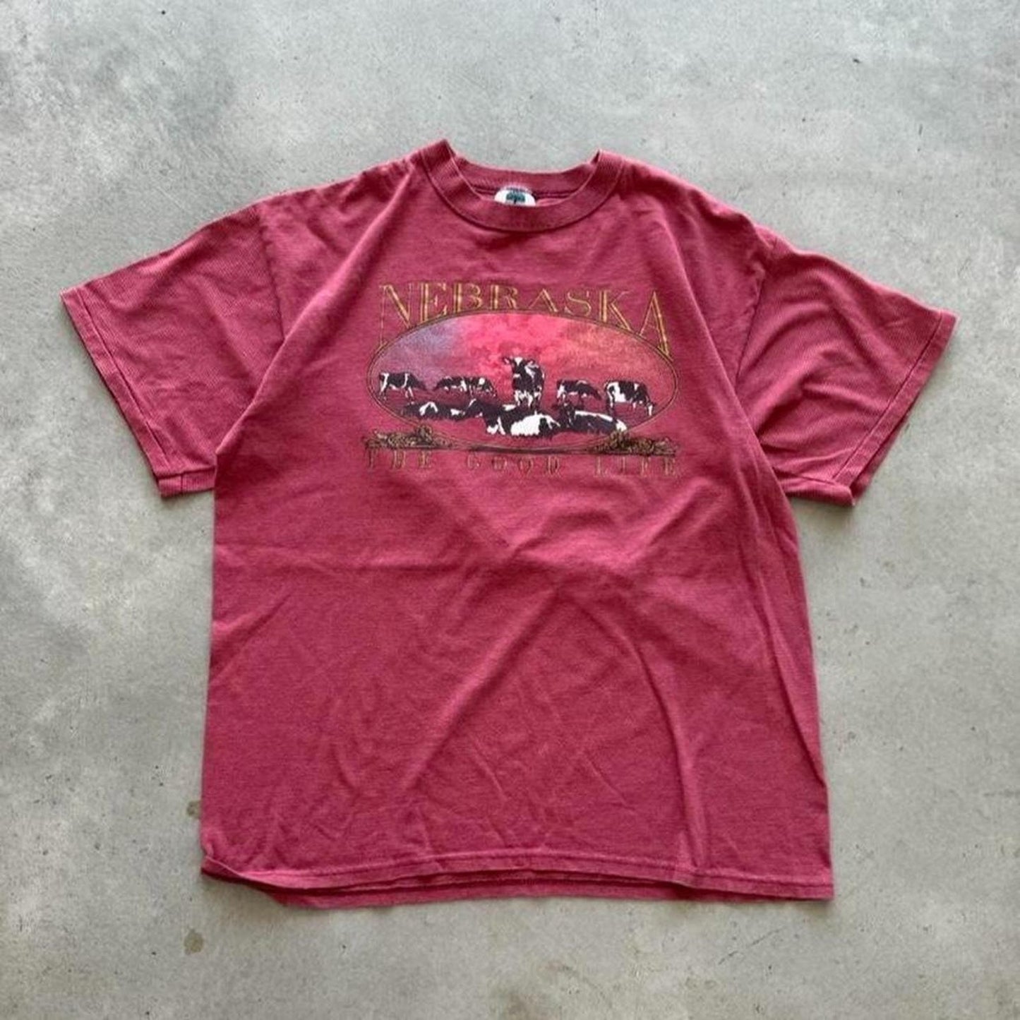 Vintage 90s Nebraska Cow Animal Farm T-Shirt - X-Large