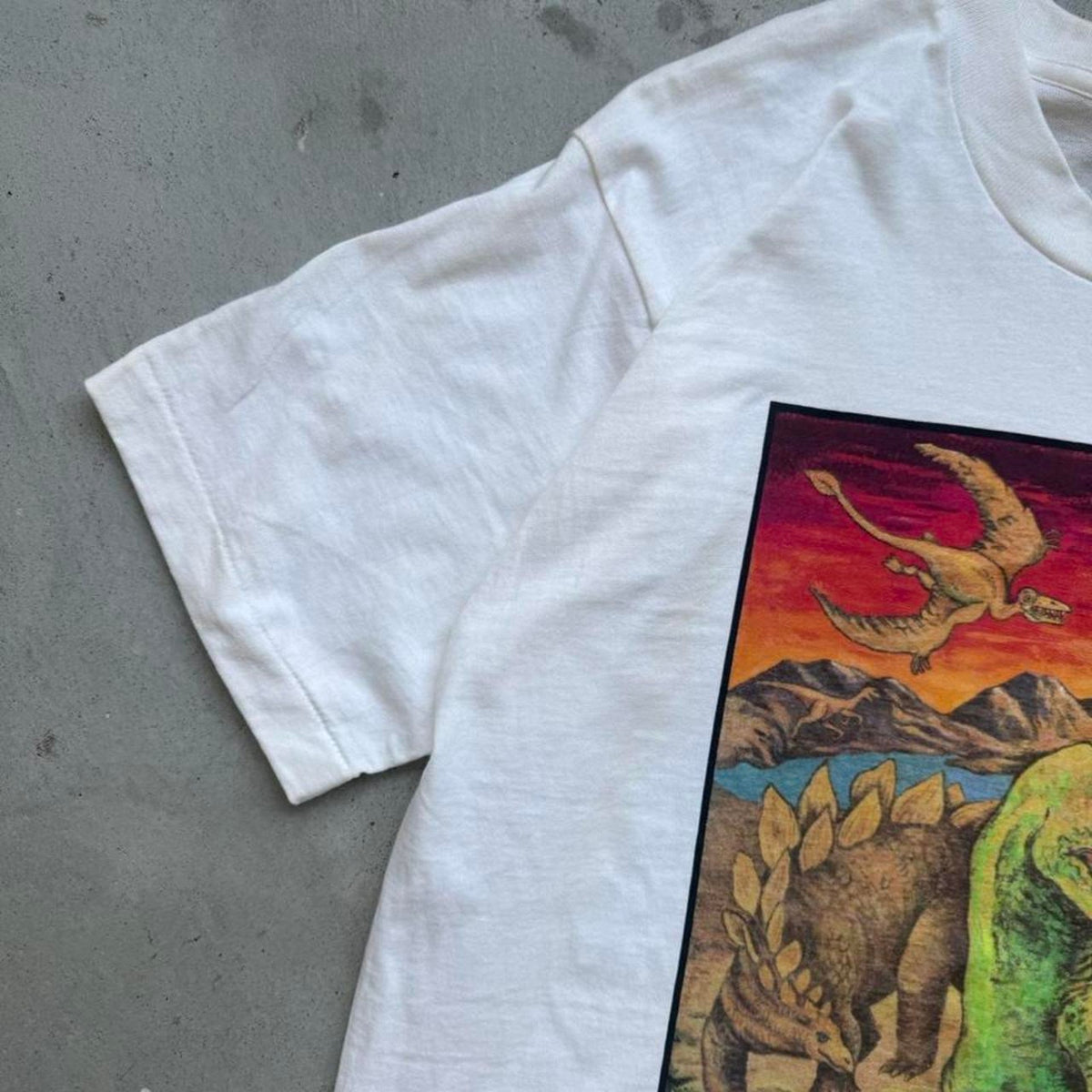 Vintage 90s Extinction if Forever Dinosaur Dino T-Rex T-Shirt - Large