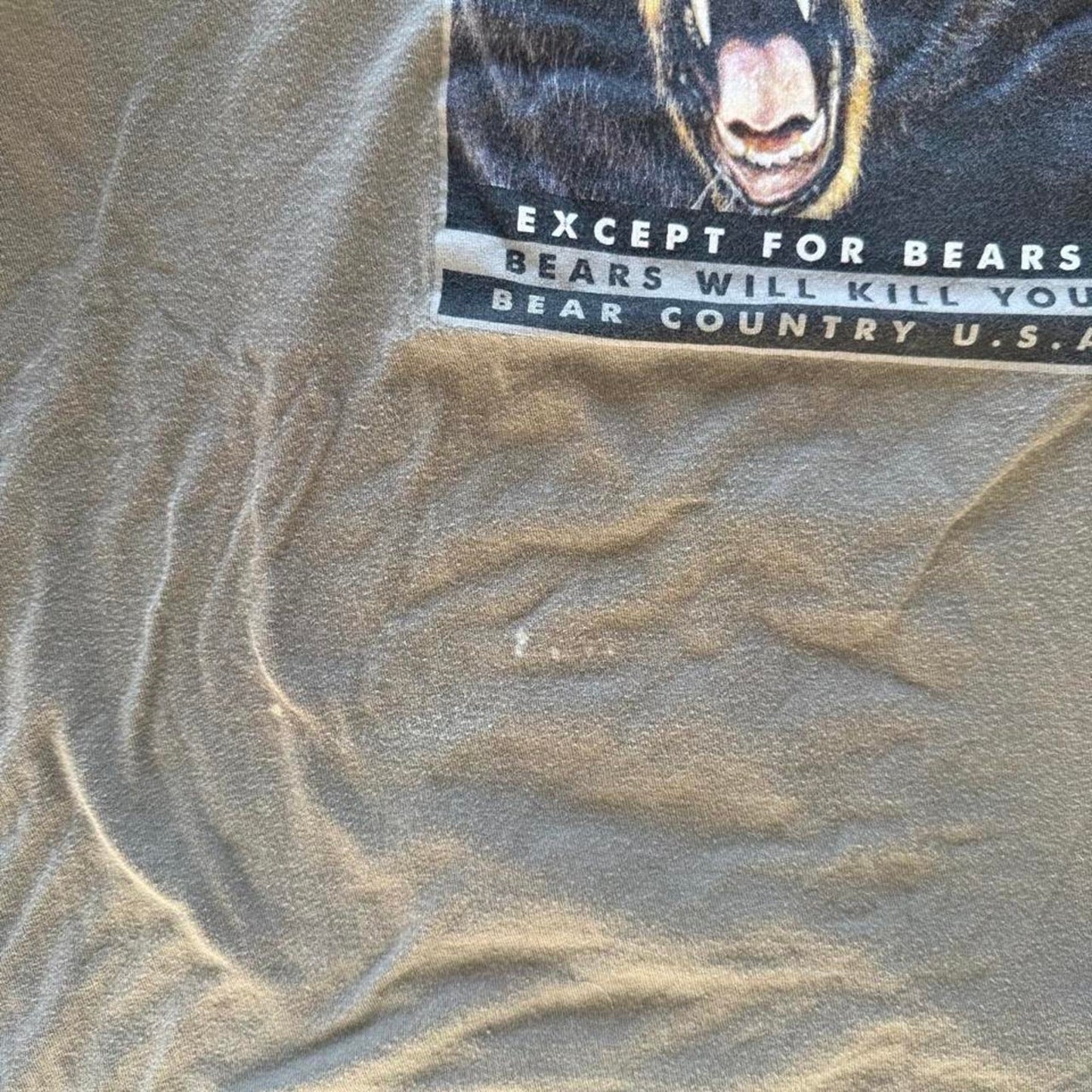Vintage 90s Bear What Doesn’t Kill You T-Shirt - Large (W)