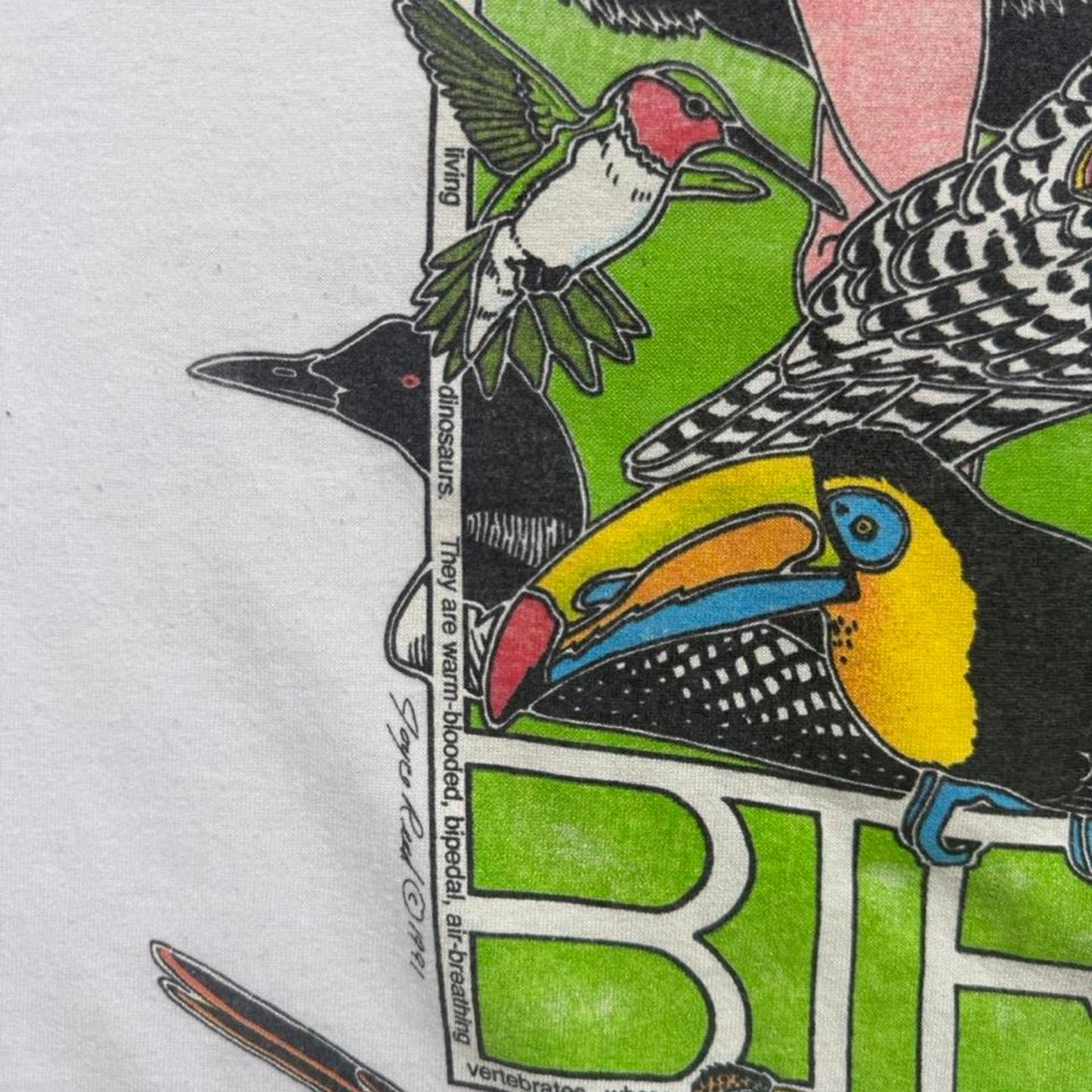 Vintage 90s Birds Animal Nature T-Shirt - XX-Large