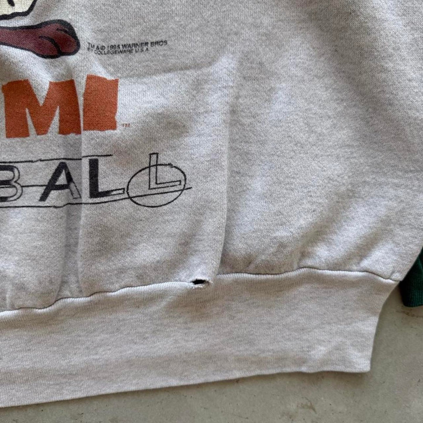Vintage 90s Miami Hurricanes Taz Looney Tunes Crewneck Hoodie - XX-Large