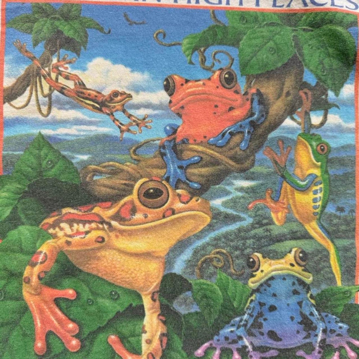 Vintage 90s Friends in High Places Rainforest Frog Animal T-Shirt - Large