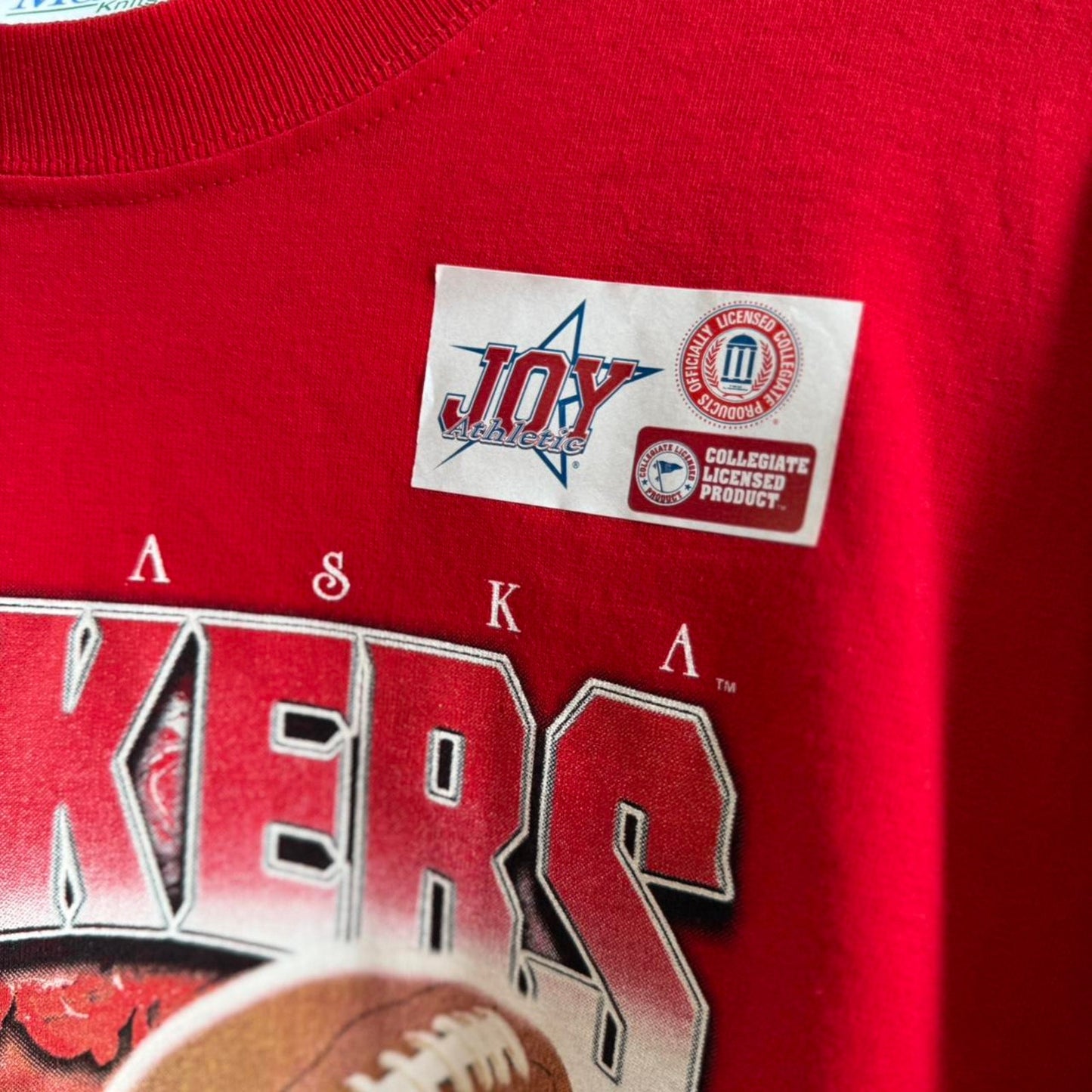 Vintage 2002 Nebraska Huskers Rose Bowl T-Shirt