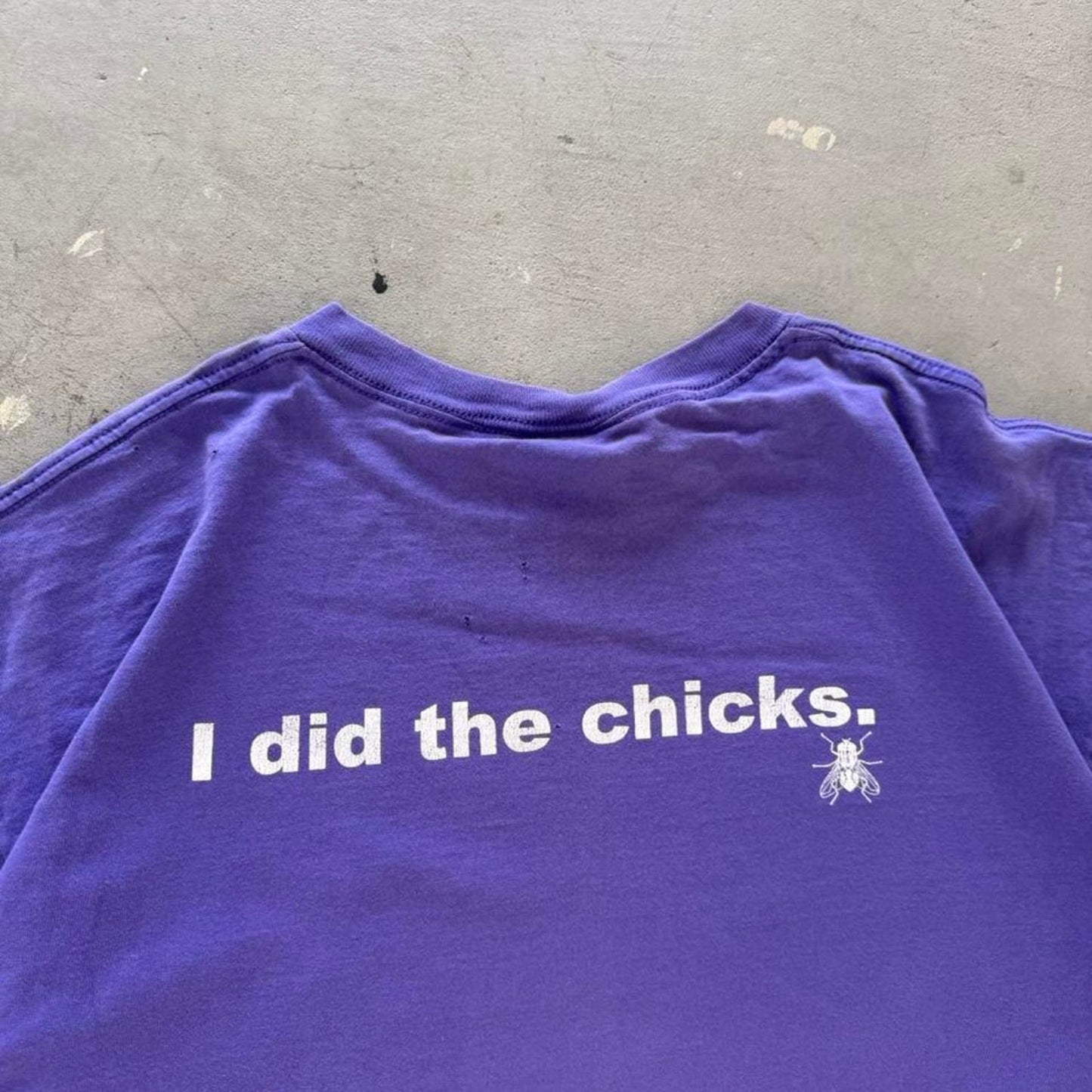 Vintage 90s Dixie Chicks I Did the Chicks Distressed Crew T-Shirt - X-Large