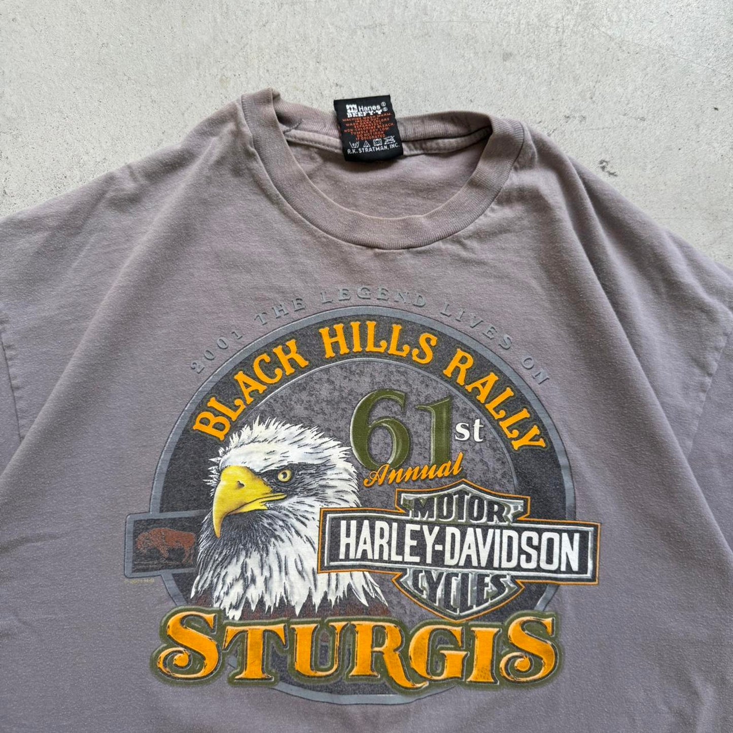 Vintage Harley Davidson Motorcycles Black Hills Rally Biker T-Shirt - X-Large