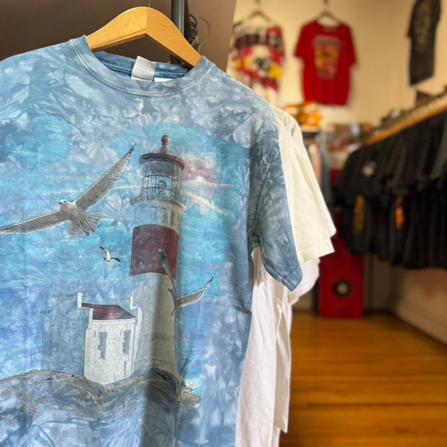 Vintage 90s The Mountain Lighthouse Eagle T-Shirt