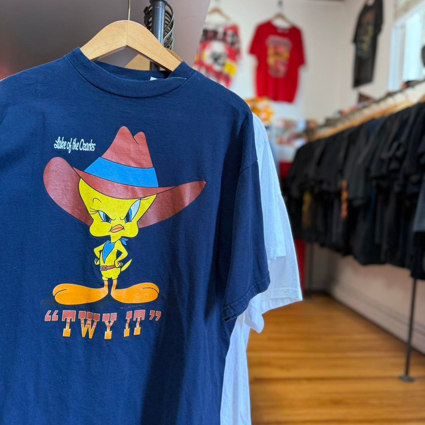 Vintage 90s Tweety Cowboy Looney Tunes Cartoon T-Shirt