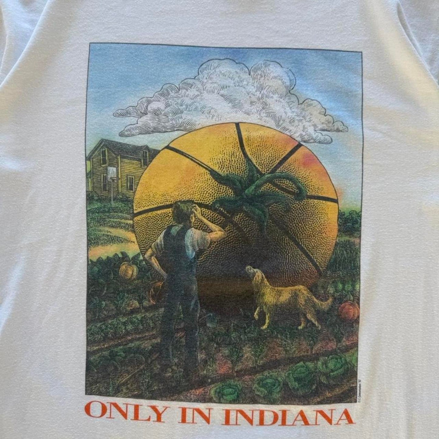 Vintage 90s Only in Indiana Basketball Pumpkin T-Shirt - Large