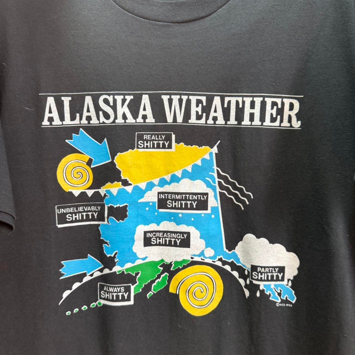Vintage 90s Alaska Weather Shit T-Shirt - X-Large