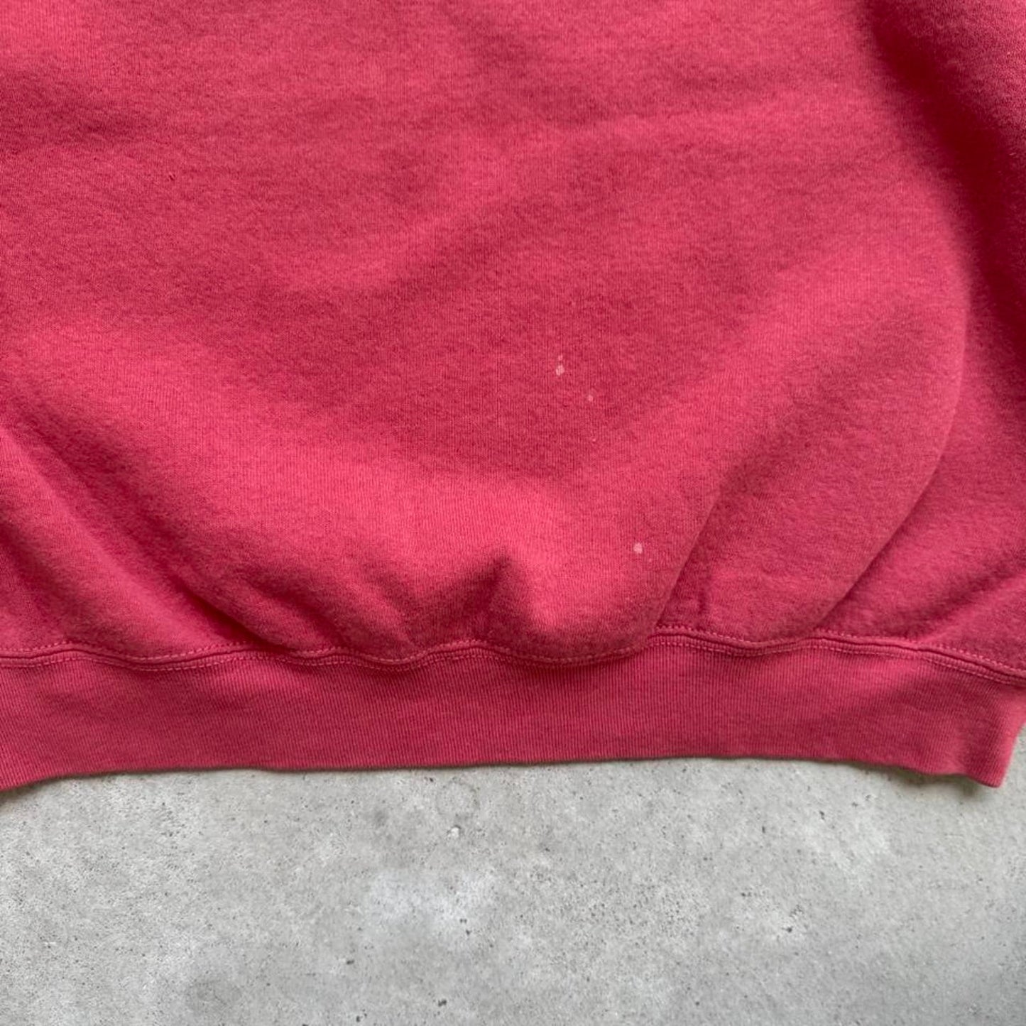 Vintage 90s Desert Wolf Nature Art Crewneck - X-Large