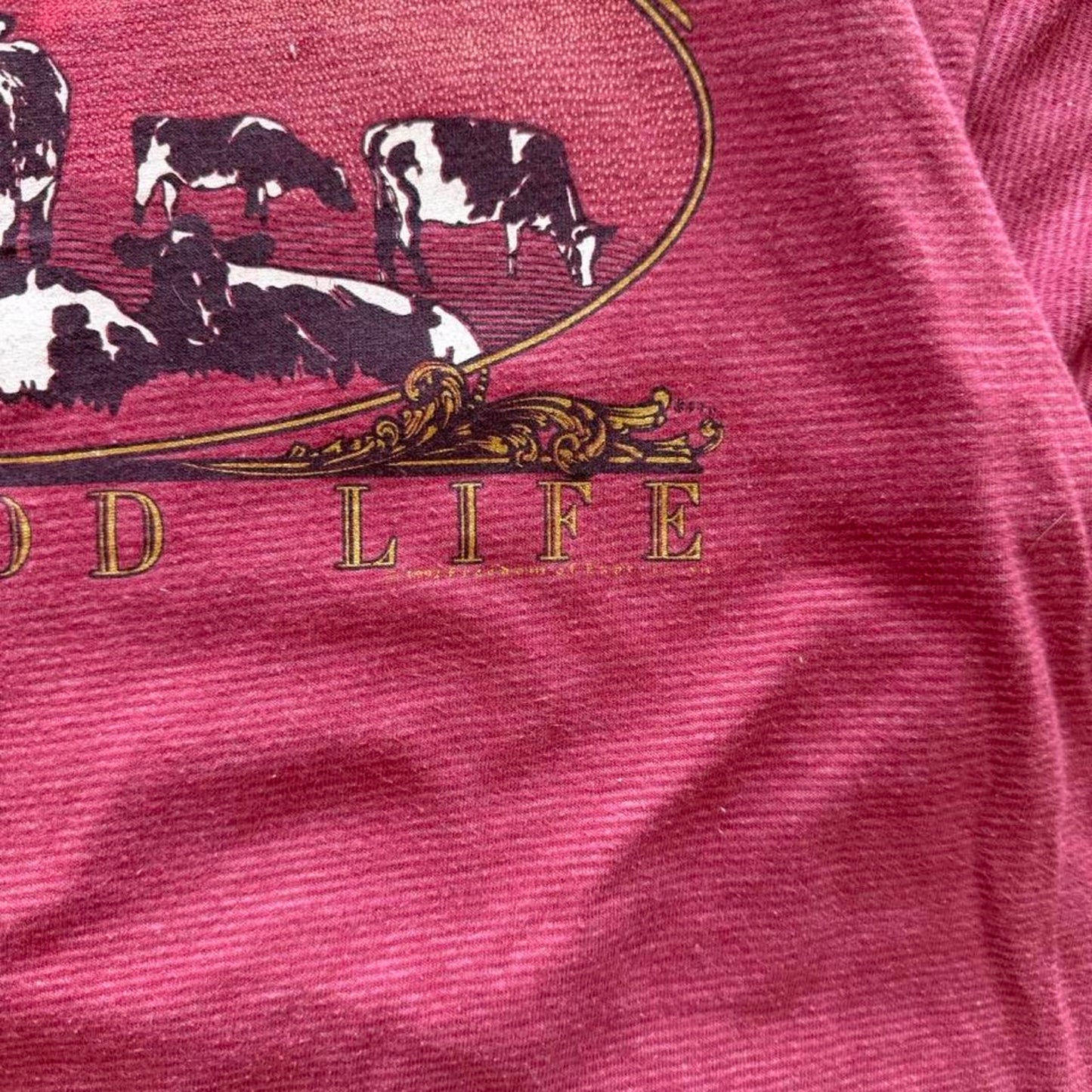 Vintage 90s Nebraska Cow Animal Farm T-Shirt - X-Large