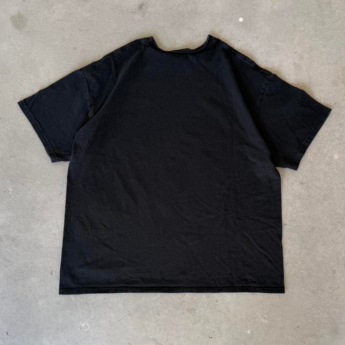 Vintage Y2K Black Hills South Dakota Buffalo Bison T-Shirt - X-Large