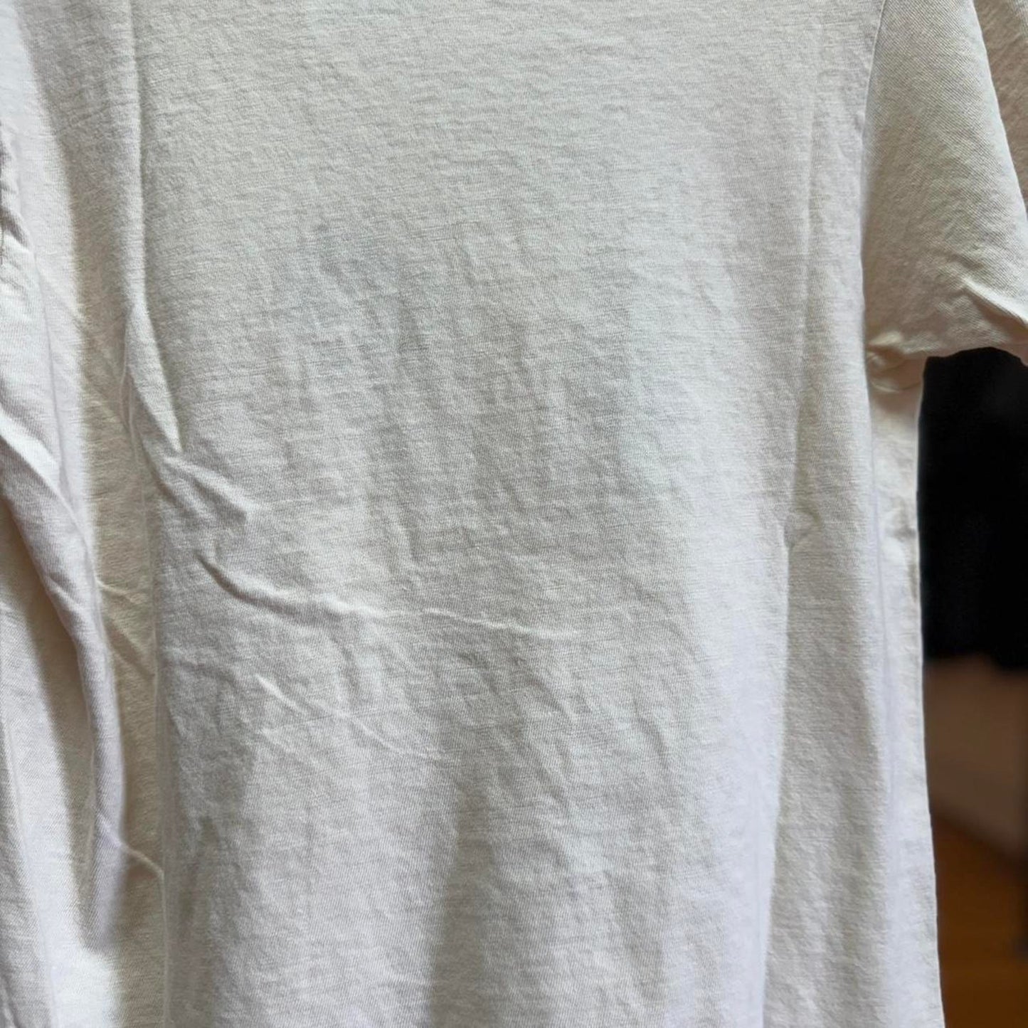Vintage 80s Richard Nixon Which One is the Vegetable T-Shirt
