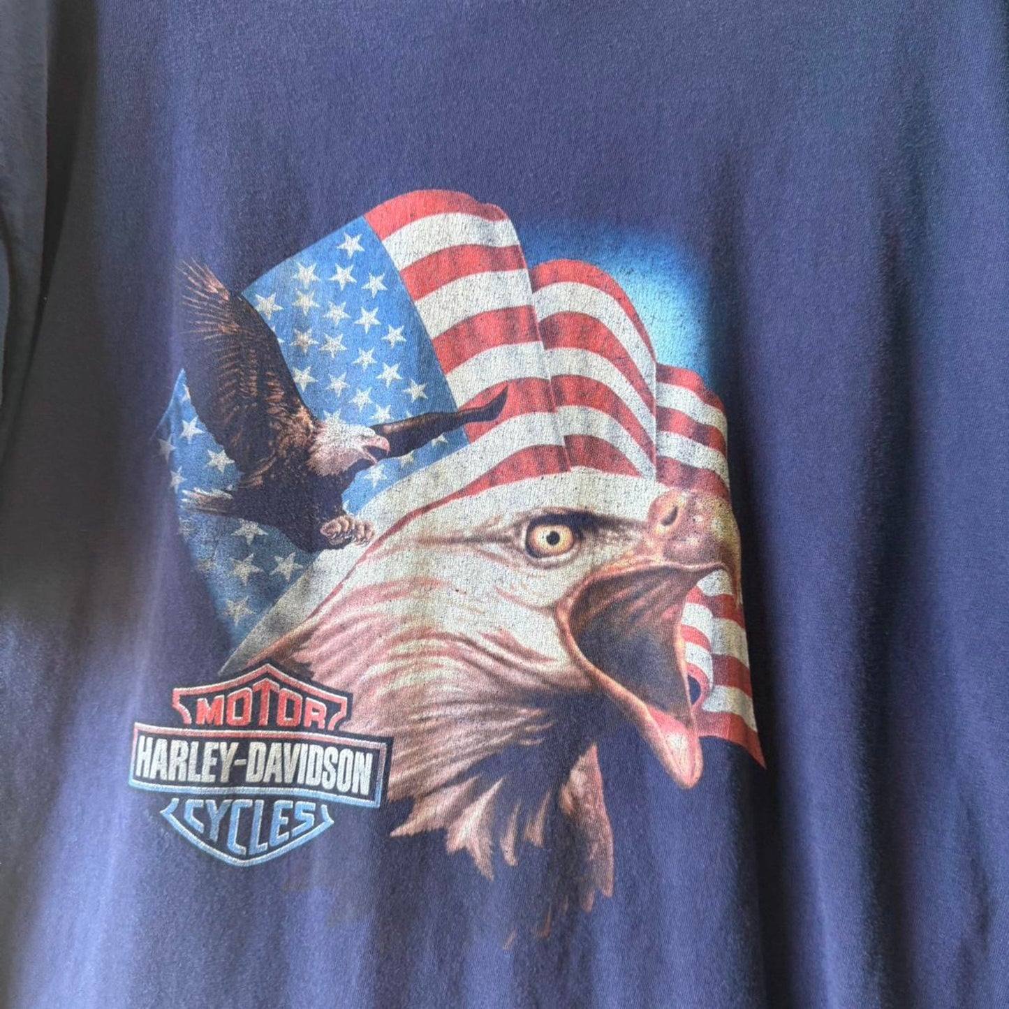 Vintage Y2K Harley Davidson Motorcycles Biker Eagle T-Shirt - X-Large