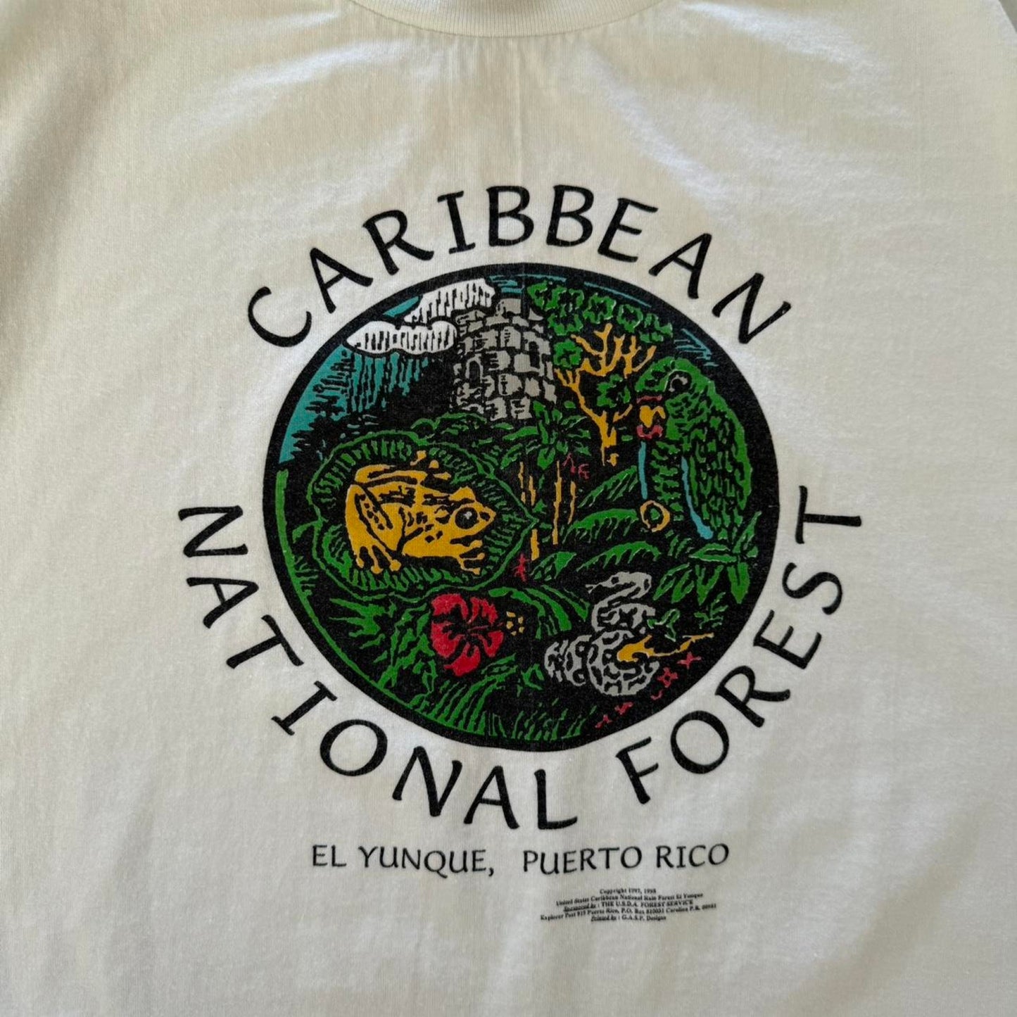 Vintage 90s Caribbean National Forest Frog Nature Animal T-Shirt - X-Large
