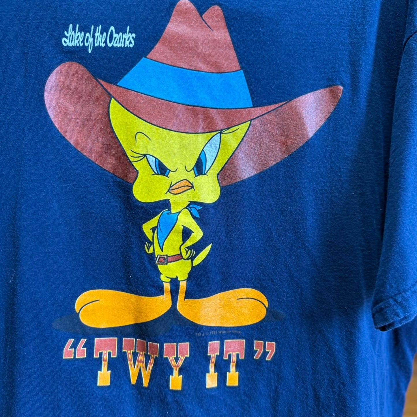 Vintage 90s Tweety Cowboy Looney Tunes Cartoon T-Shirt