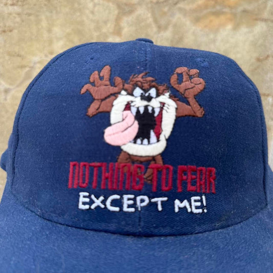 Vintage 90s Tasmanian Devil Taz Looney Tunes Snapback