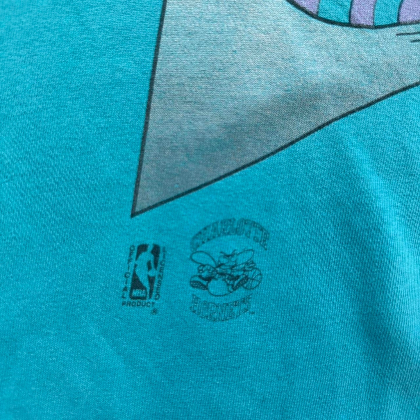 Vintage 90s Charolette Hornets NBA Basketball T-Shirt - Large