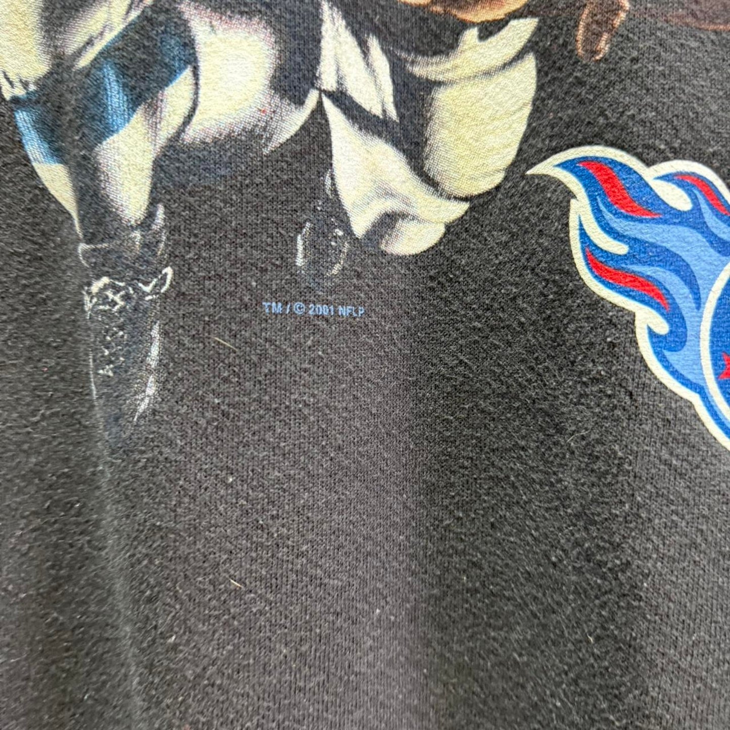Vintage 90s Tennessee Titans Salem Sportswear Crewneck